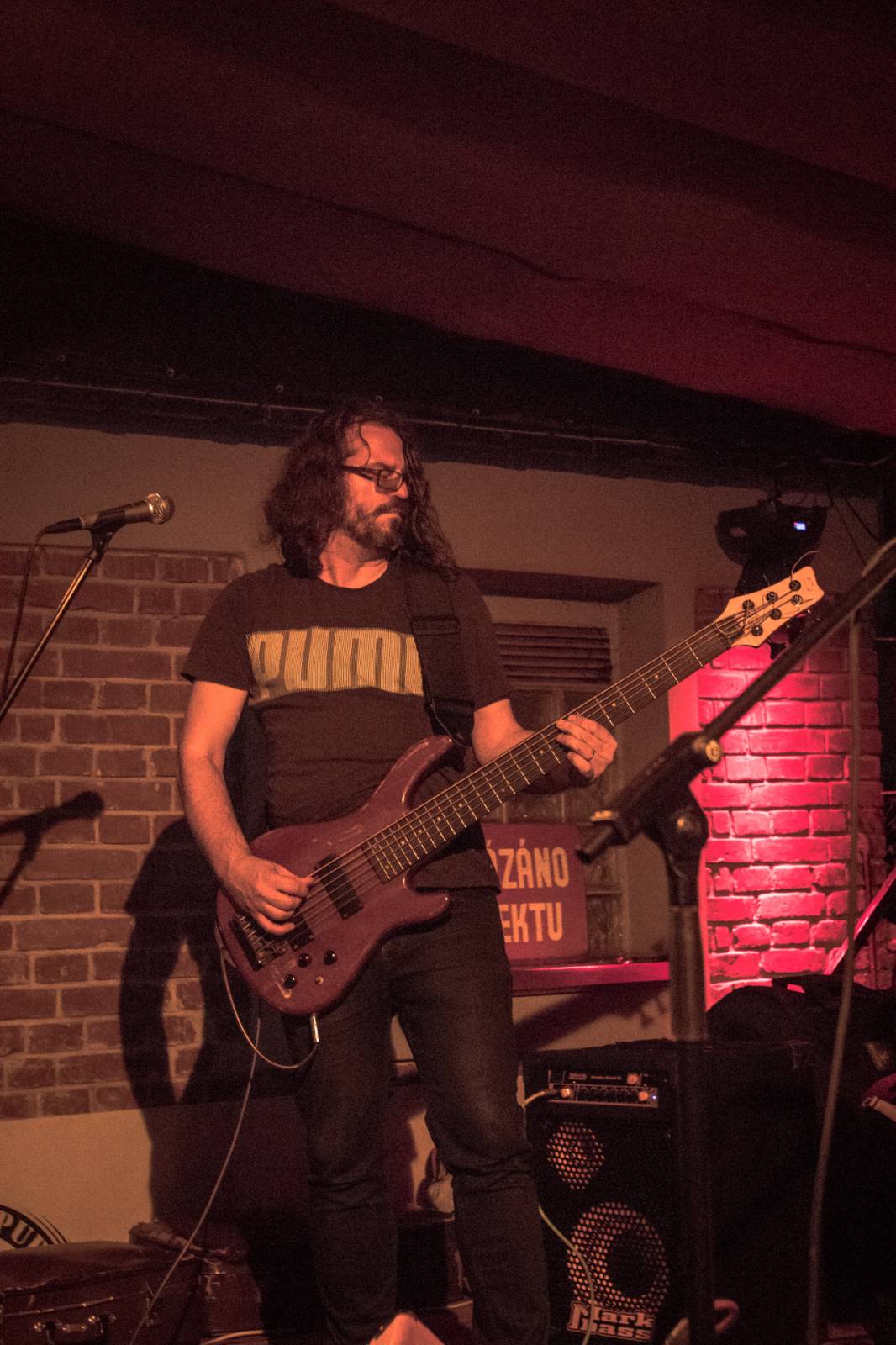 Mucha rozjela v Plzni energickou show