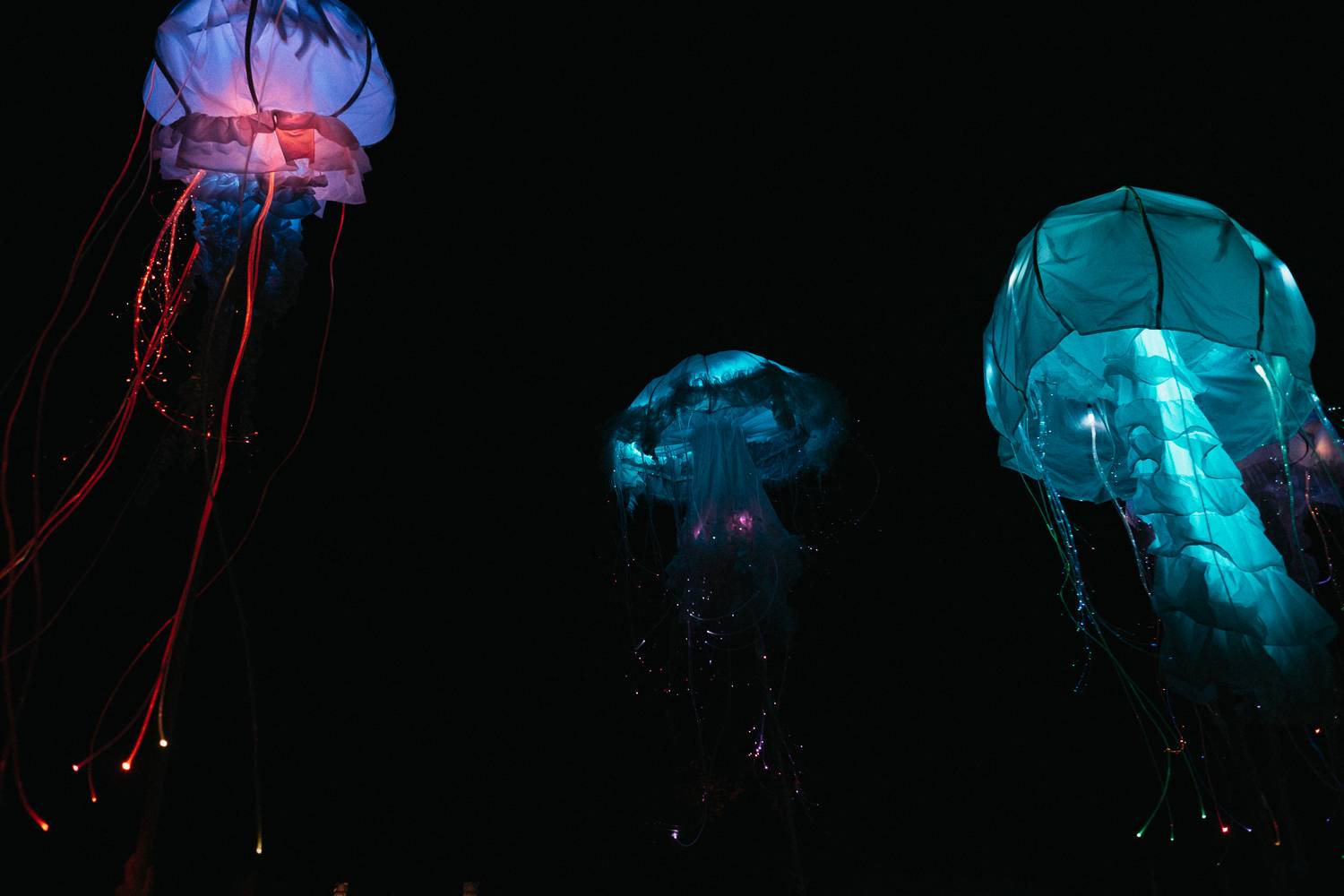 Martin Garrix rozzářil oblohu nad Ostravou, návštěvníkům Colours učarovali i Larkin Poe