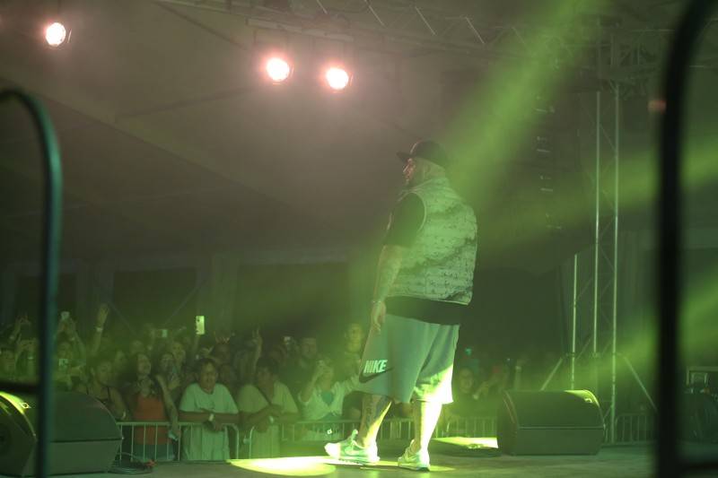 Cibula fest poprvé přivítal Mirai, dorazili i Desmod, Sima, Polemic nebo Čechomor