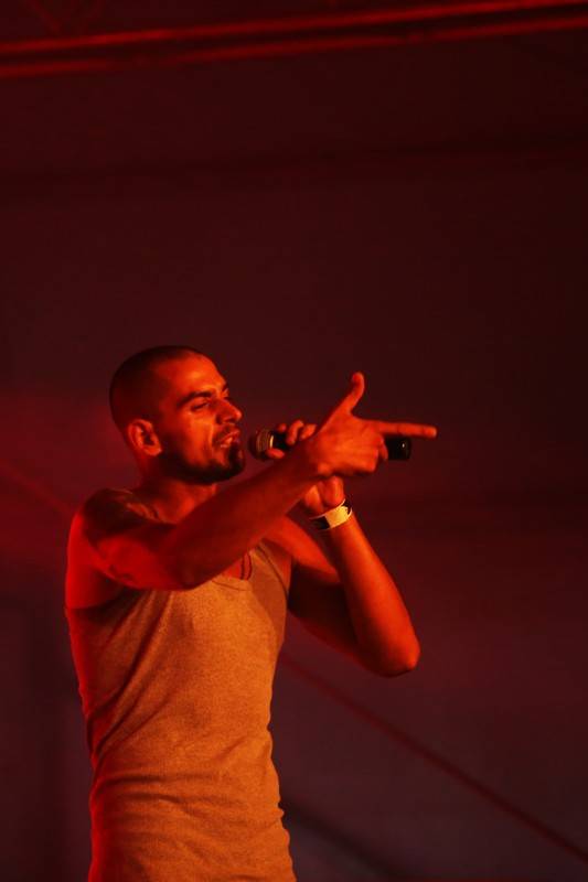 Cibula fest poprvé přivítal Mirai, dorazili i Desmod, Sima, Polemic nebo Čechomor