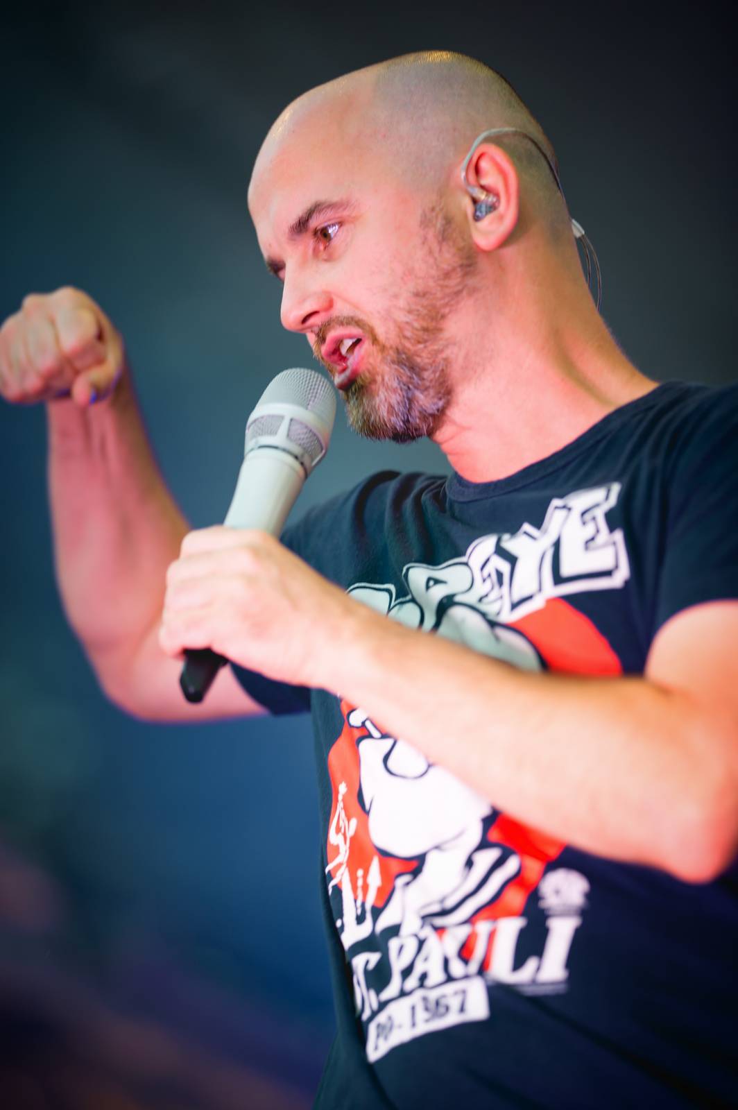 Na Polanka fest zavítali No Name, Harlej, Poetika a spousta dalších