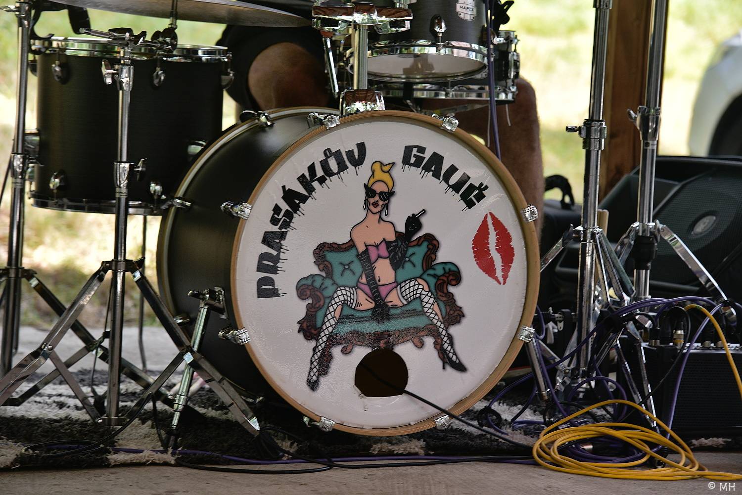 Prasofest přivezl do Vlčtejna Plexis, Záviše nebo Cocotte Minute