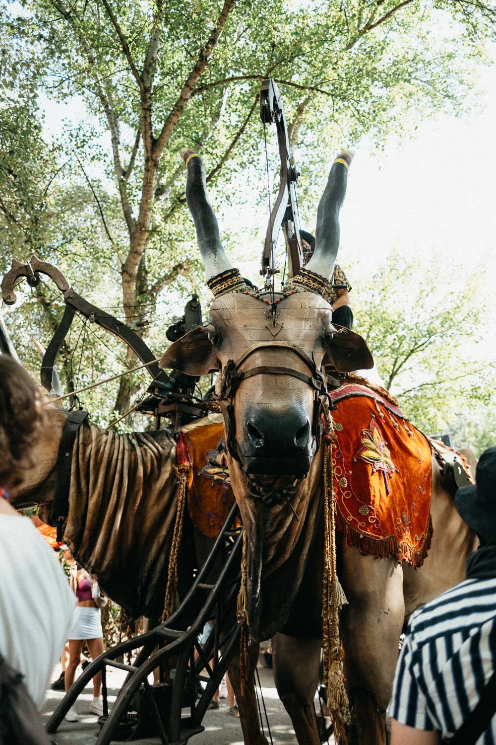 Sziget festival zahájili Dua Lipa, Nova Twins, Milky Chance i Remi Wolf