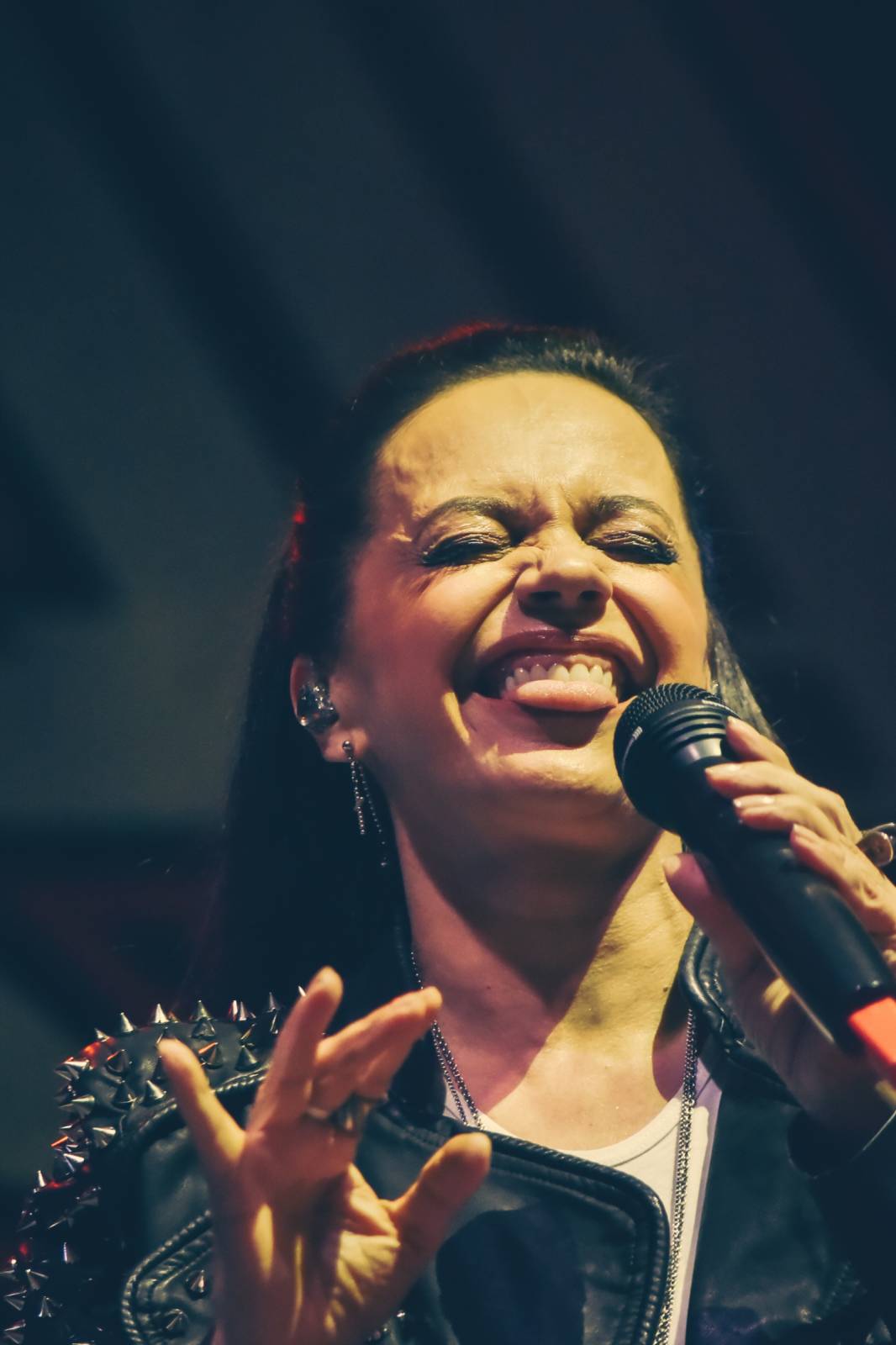 The Most Fest přilákal Arakain s Lucií Bílou, Monkey Business i Janka Ledeckého