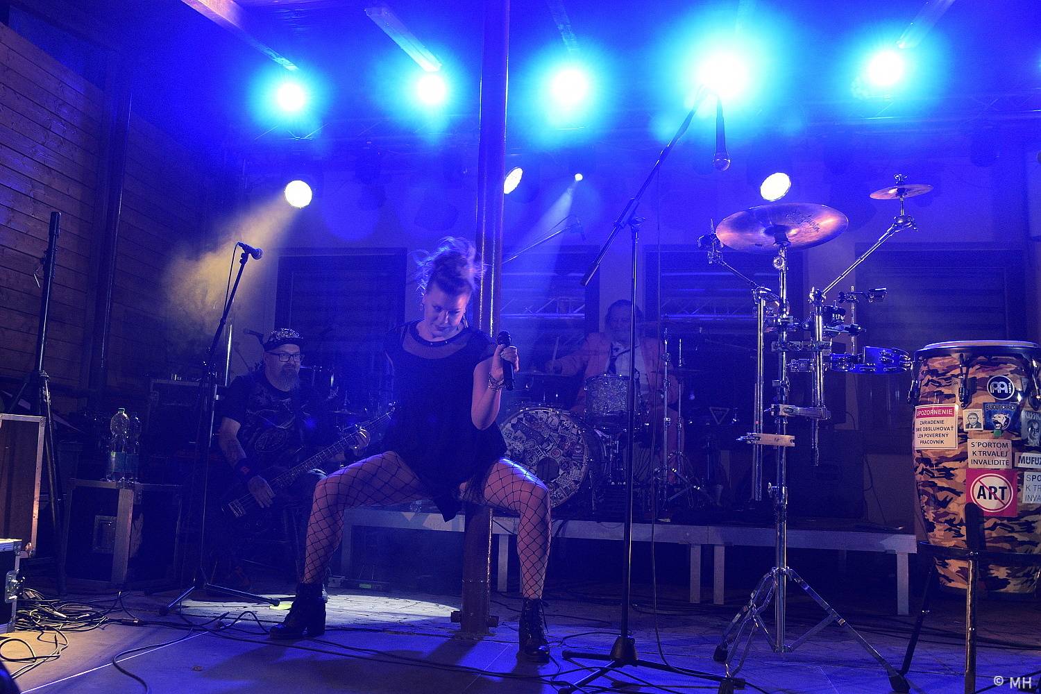 Ještě jeden fest v Tachově podpořil léčbu Honzíka, zahráli Hi-Fly nebo Zvlášňý škola