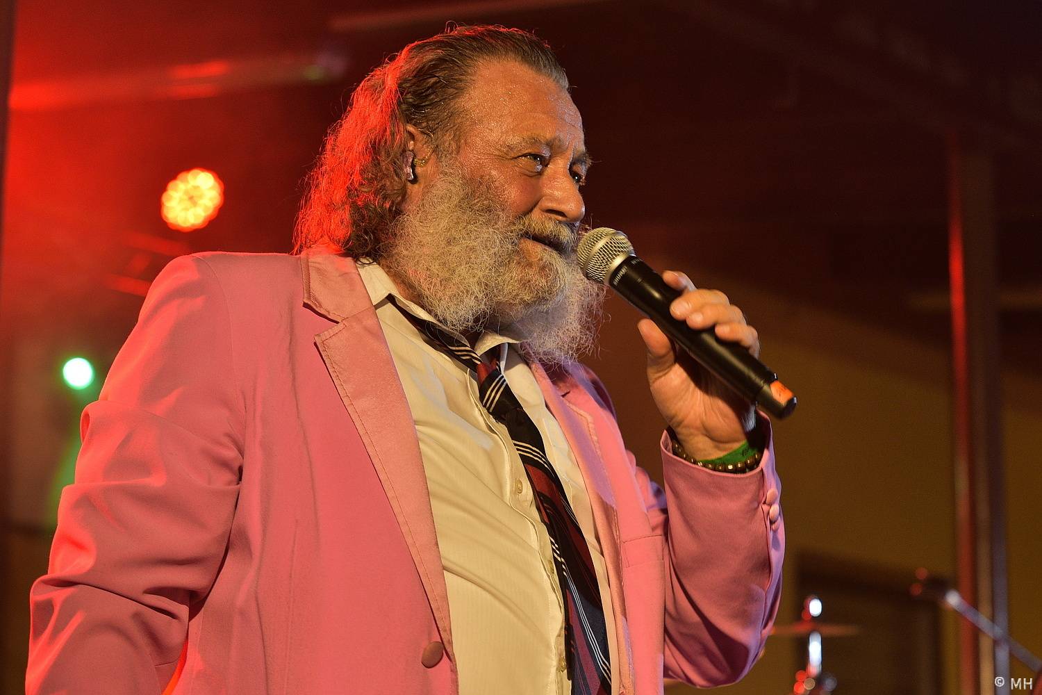 Ještě jeden fest v Tachově podpořil léčbu Honzíka, zahráli Hi-Fly nebo Zvlášňý škola