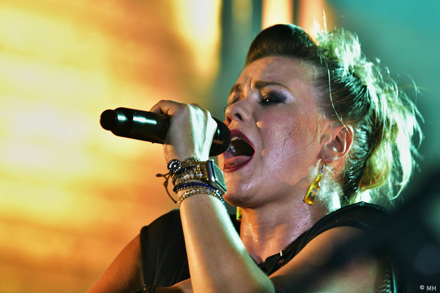 Ještě jeden fest v Tachově podpořil léčbu Honzíka, zahráli Hi-Fly nebo Zvlášňý škola