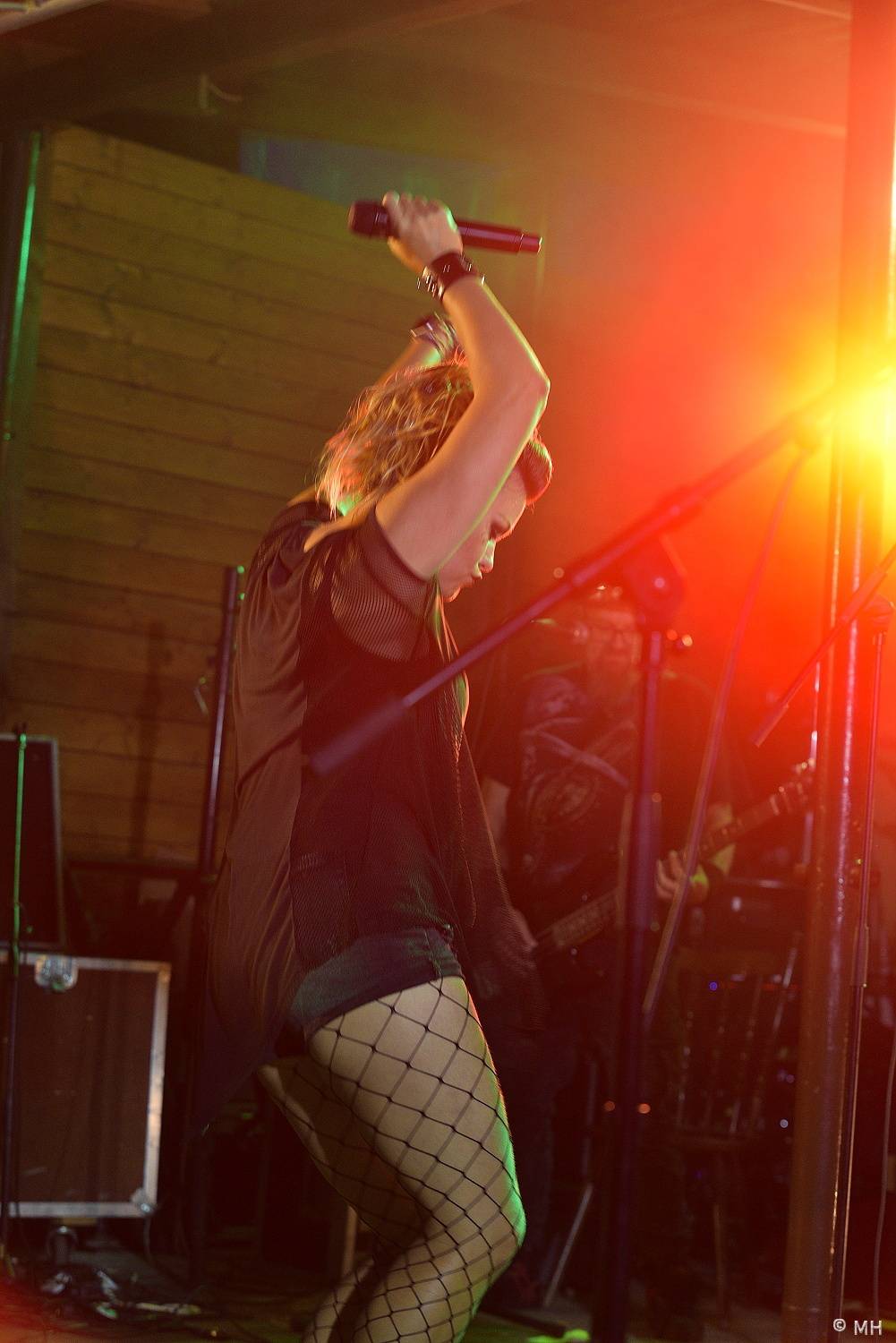 Ještě jeden fest v Tachově podpořil léčbu Honzíka, zahráli Hi-Fly nebo Zvlášňý škola