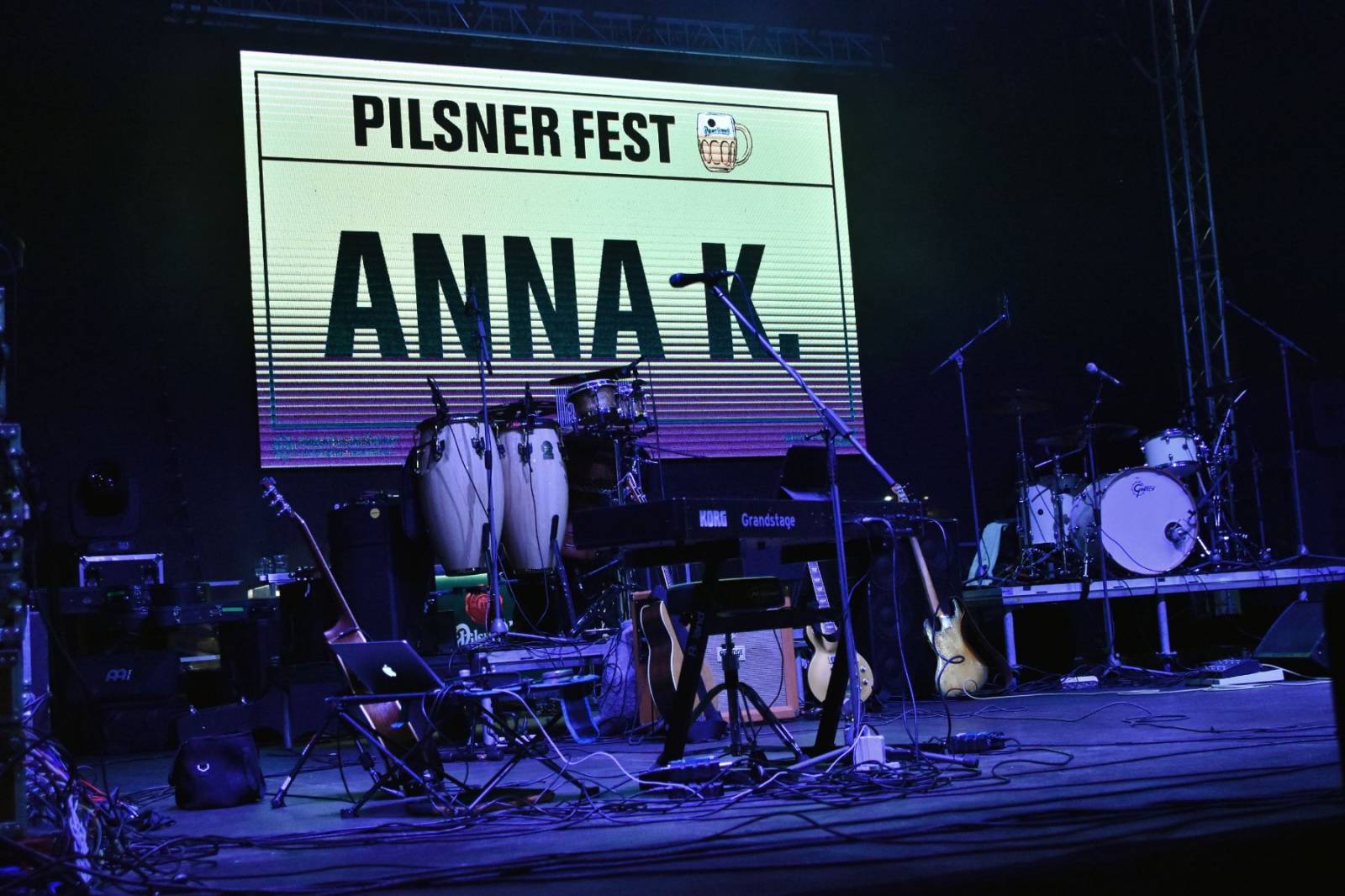 Pilsner Fest zahájili Jelen, Anna K. a X Cover