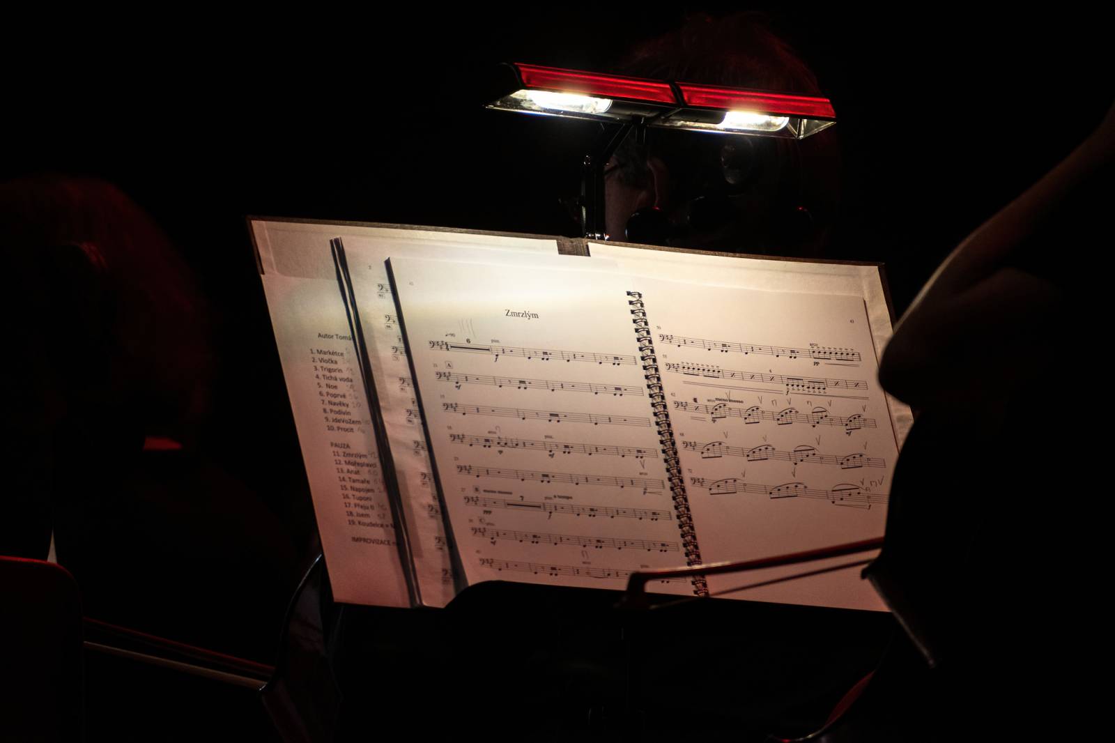 Tomáš Klus pohladil pardubické publikum na duši