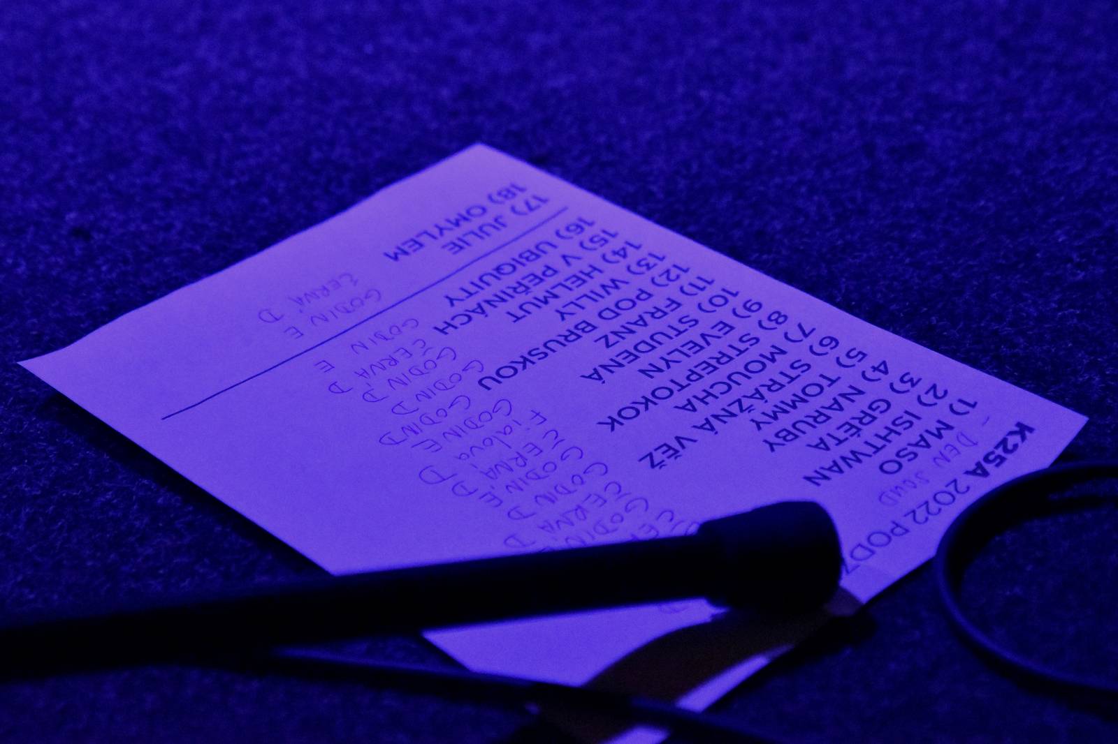 Kurtizány z 25. Avenue si do Malostranské besedy pozvali Annu K.