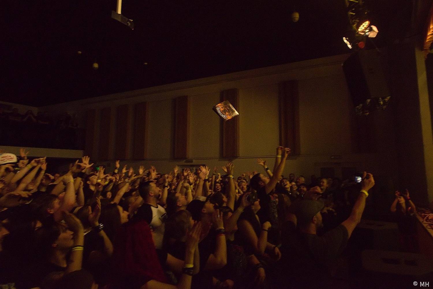 V Plzni se vzpouřili kanci. Do Šeříkovky dorazili Trautenberk a Cocotte Minute