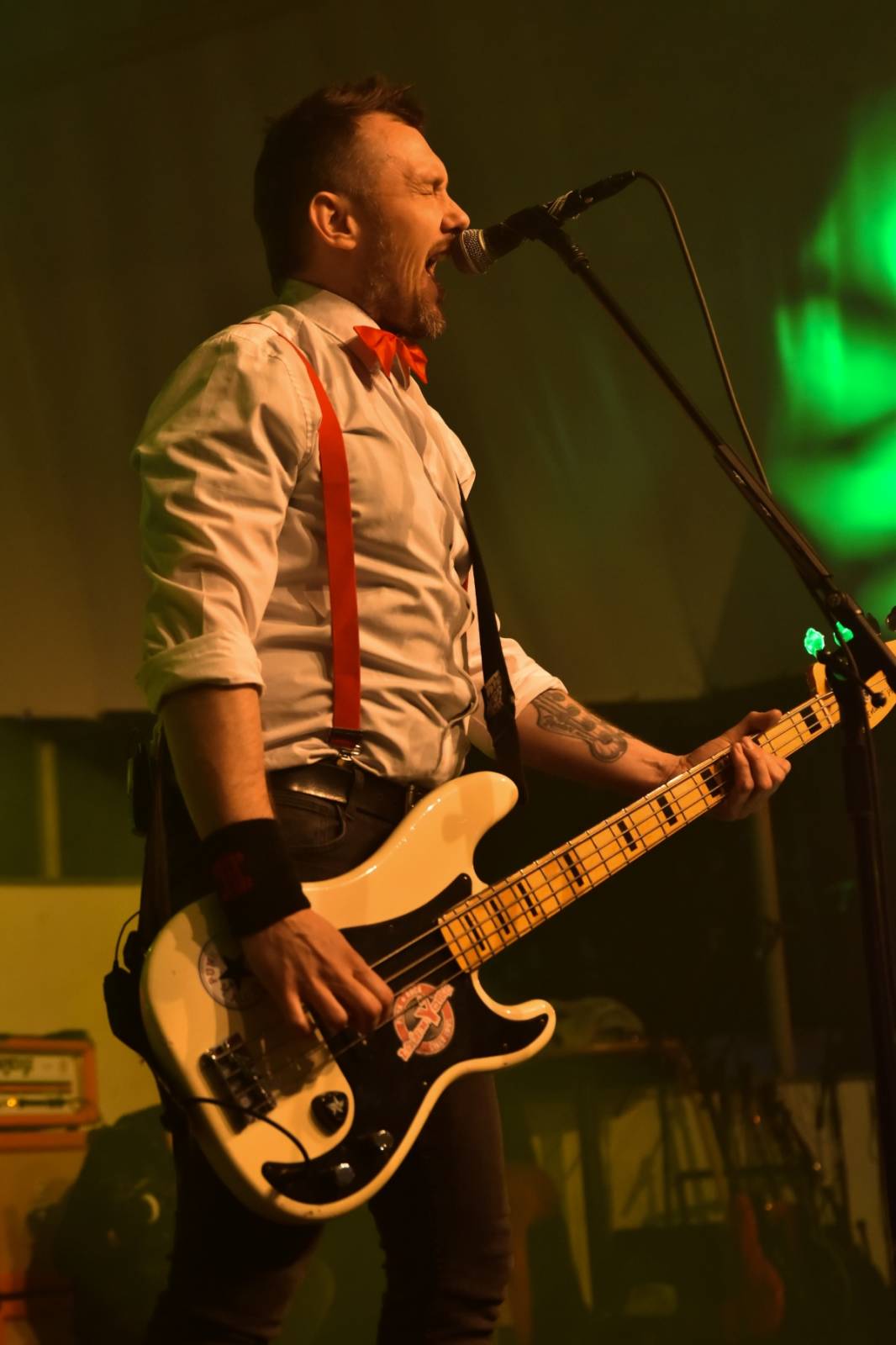 ZakázanÝ ovoce odehrálo ve Stromovce svůj tisící koncert, popřáli mu Curlies a Wotazník