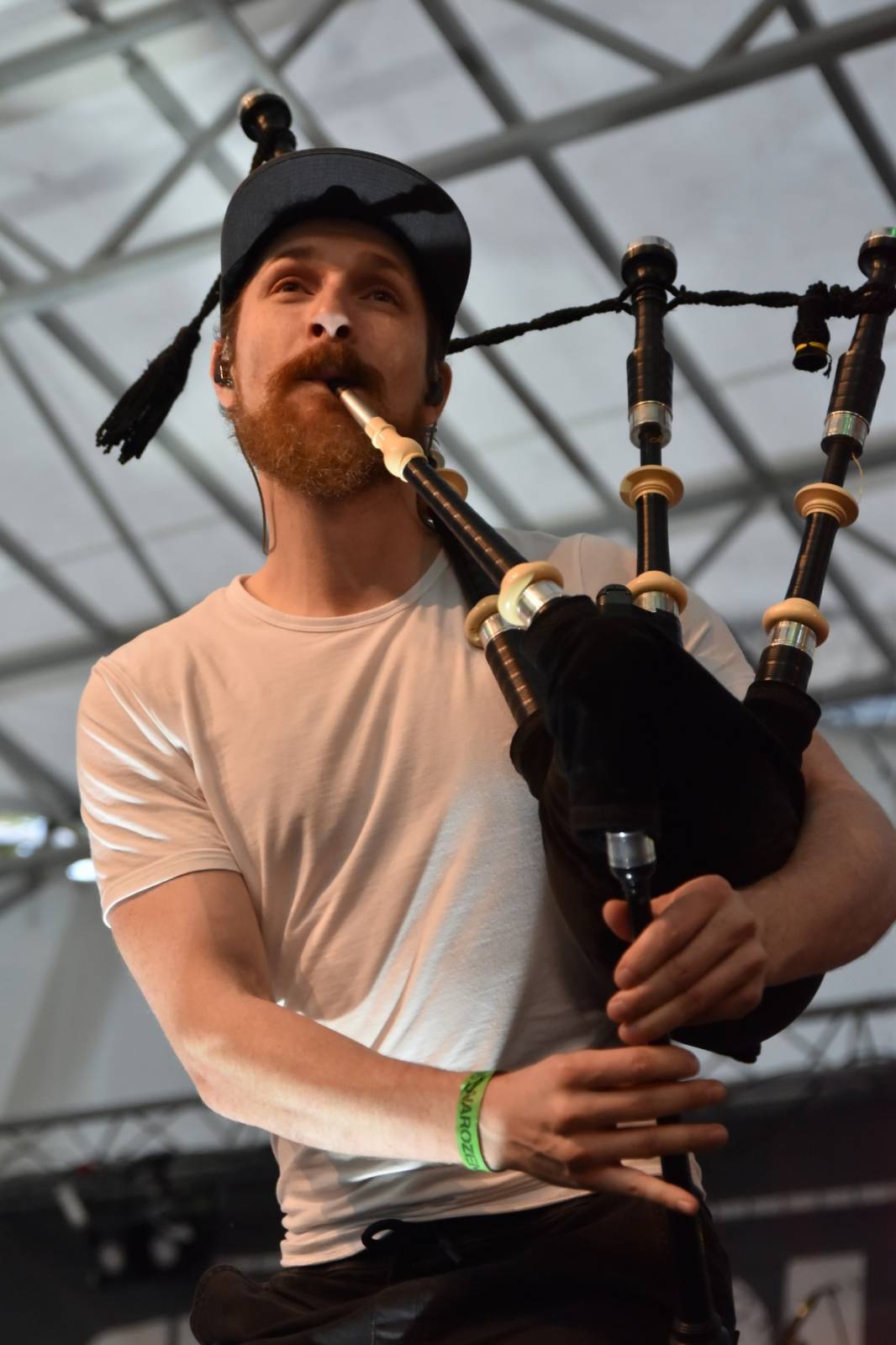 ZakázanÝ ovoce odehrálo ve Stromovce svůj tisící koncert, popřáli mu Curlies a Wotazník