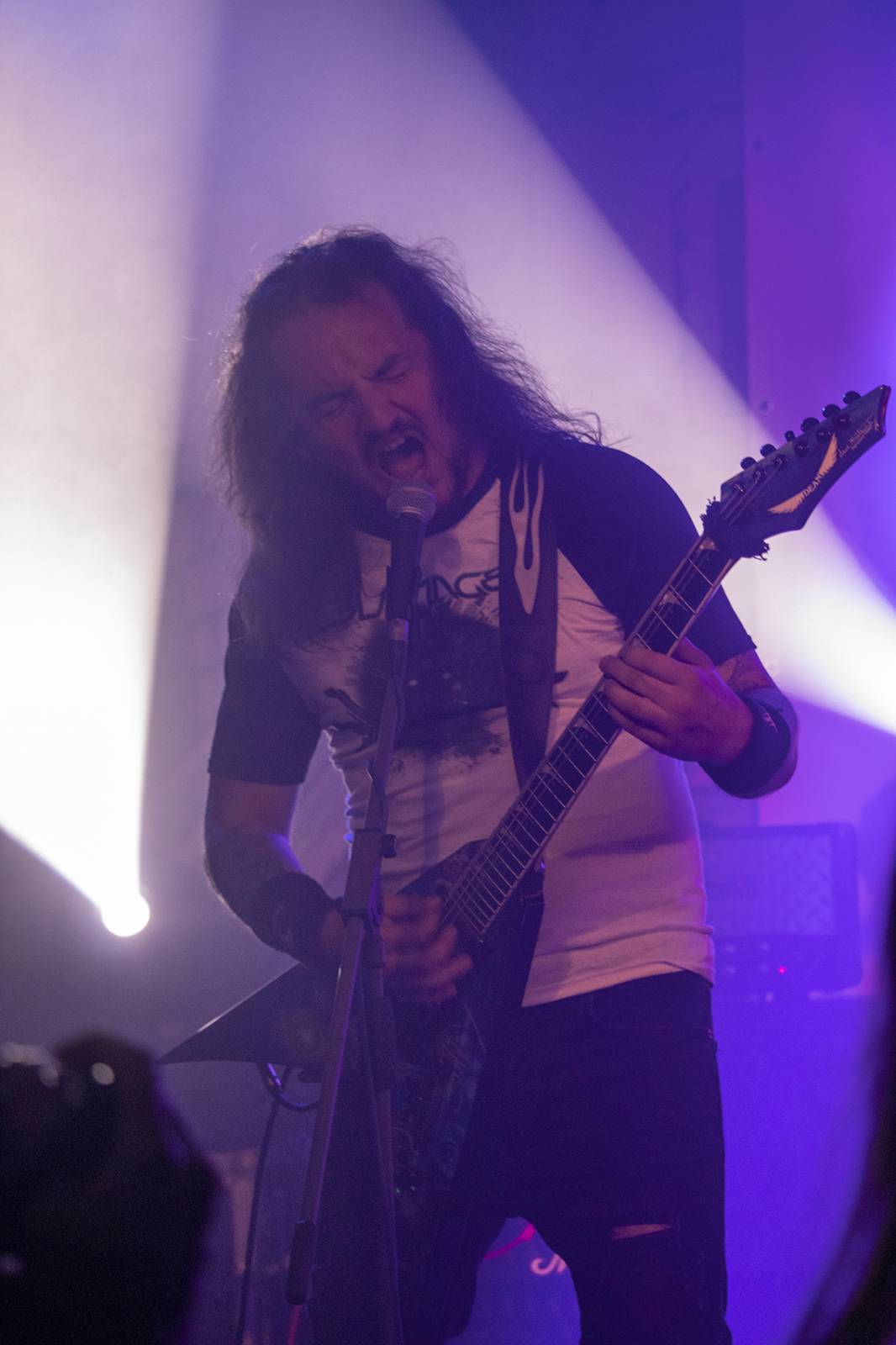 Blamage oslavili dvacet let na scéně, popřála jim Insania