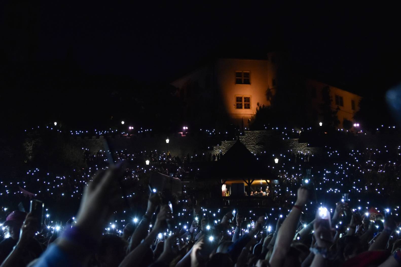 Rybičky 48 oslavily dvacetiny doma, popřáli jim Voxel či Imodium