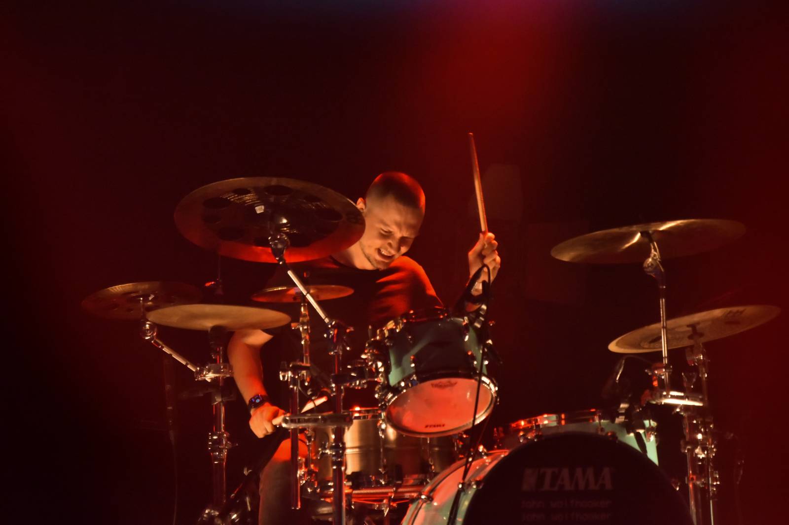 John Wolfhooker si nechali v Akropoli desku pokřtít fanouškem a projeli se na lamě, vzali s sebou Pam Rabbit