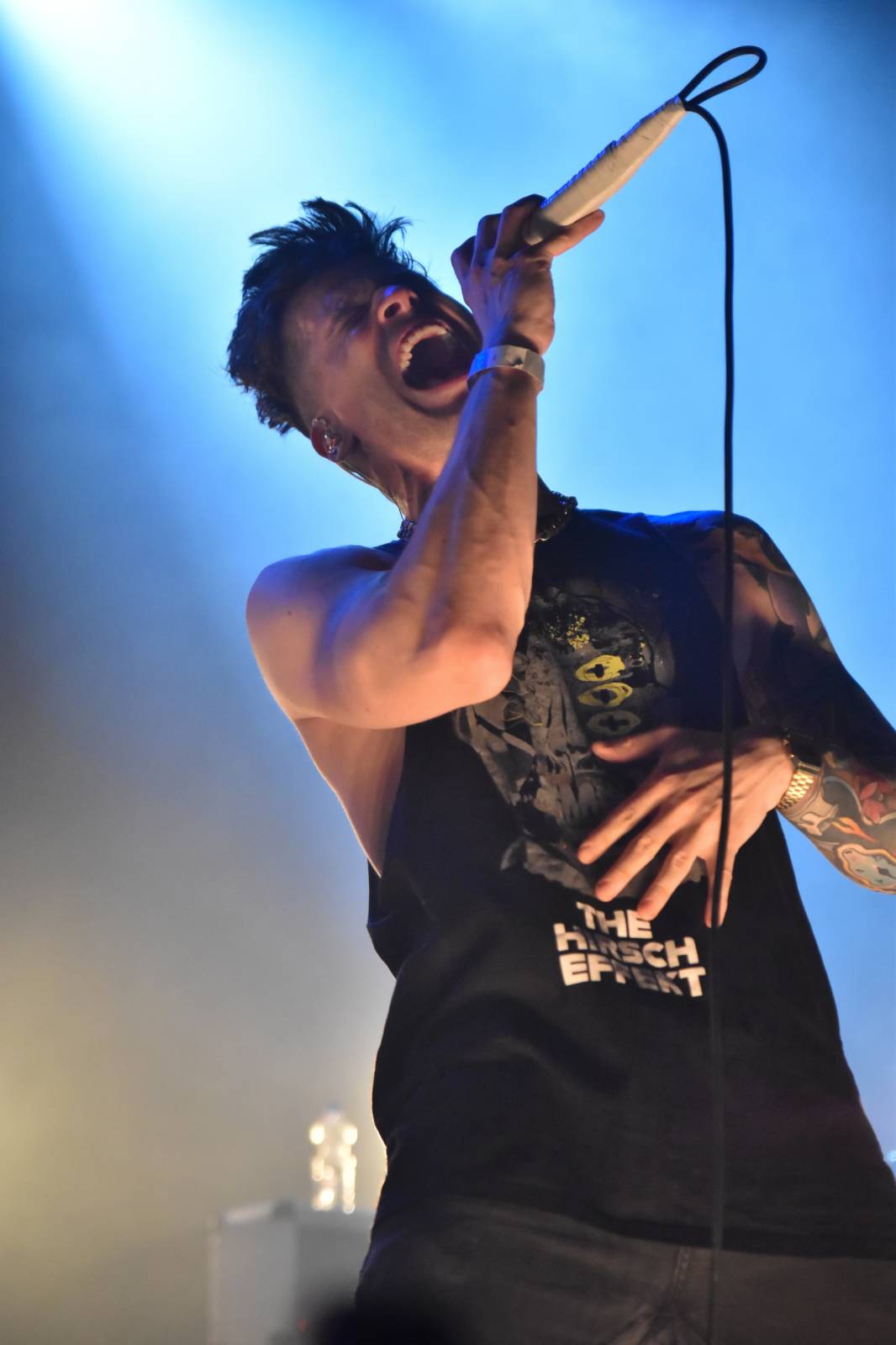 John Wolfhooker si nechali v Akropoli desku pokřtít fanouškem a projeli se na lamě, vzali s sebou Pam Rabbit