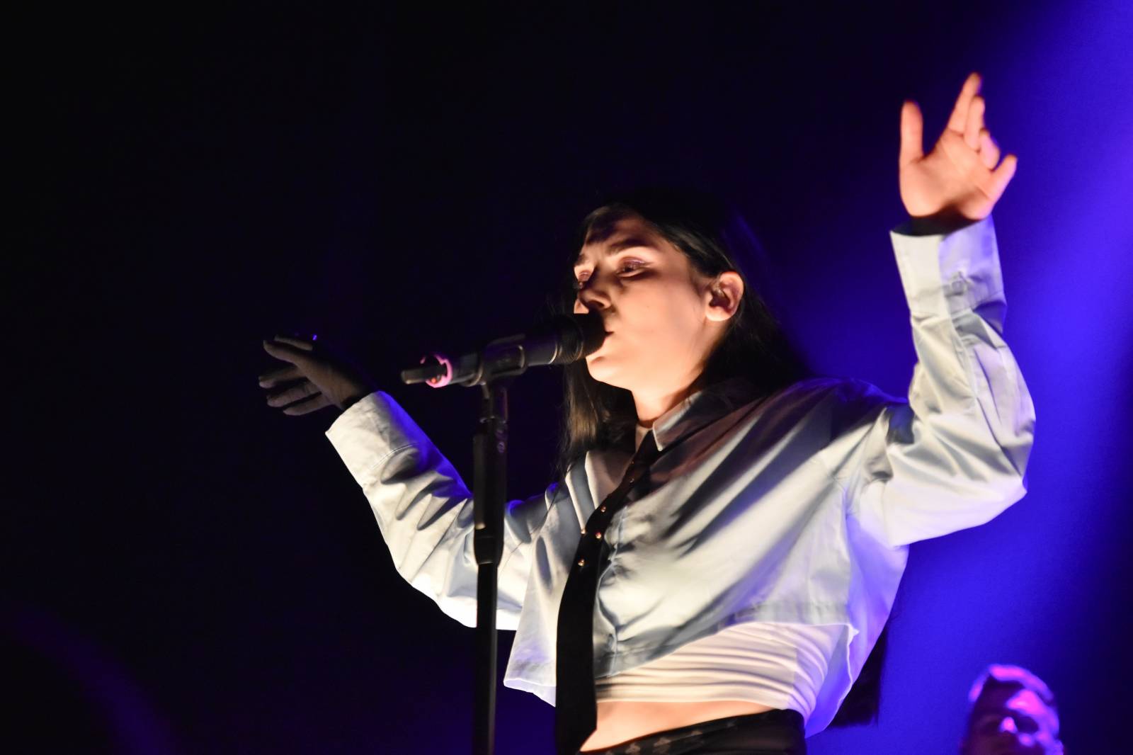 John Wolfhooker si nechali v Akropoli desku pokřtít fanouškem a projeli se na lamě, vzali s sebou Pam Rabbit