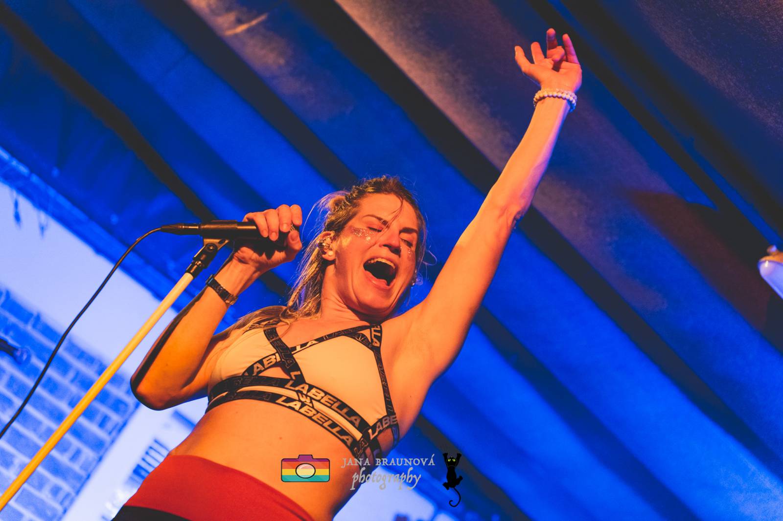 Gaia Mesiah zavítala do Plzně, odehrála energickou a divokou show