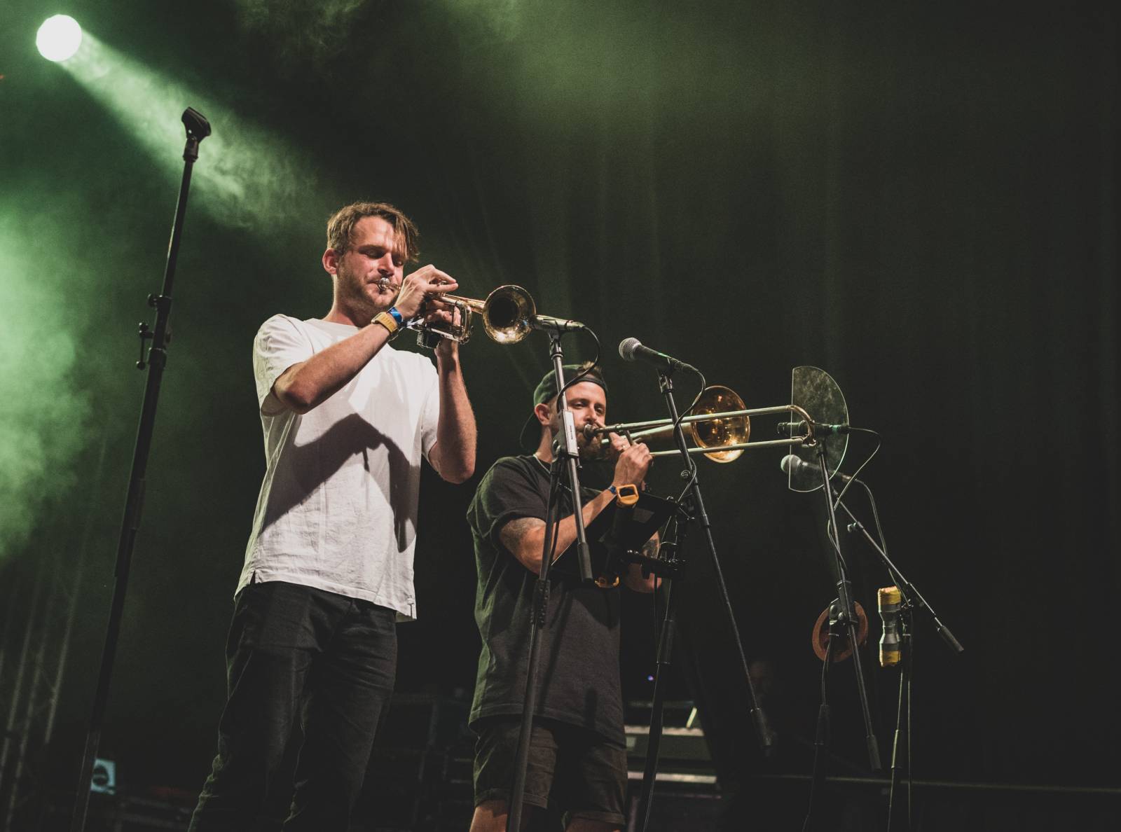 Třetí den Rock for People měl dva headlinery. Po The 1975 se do této role pasovali i Papa Roach