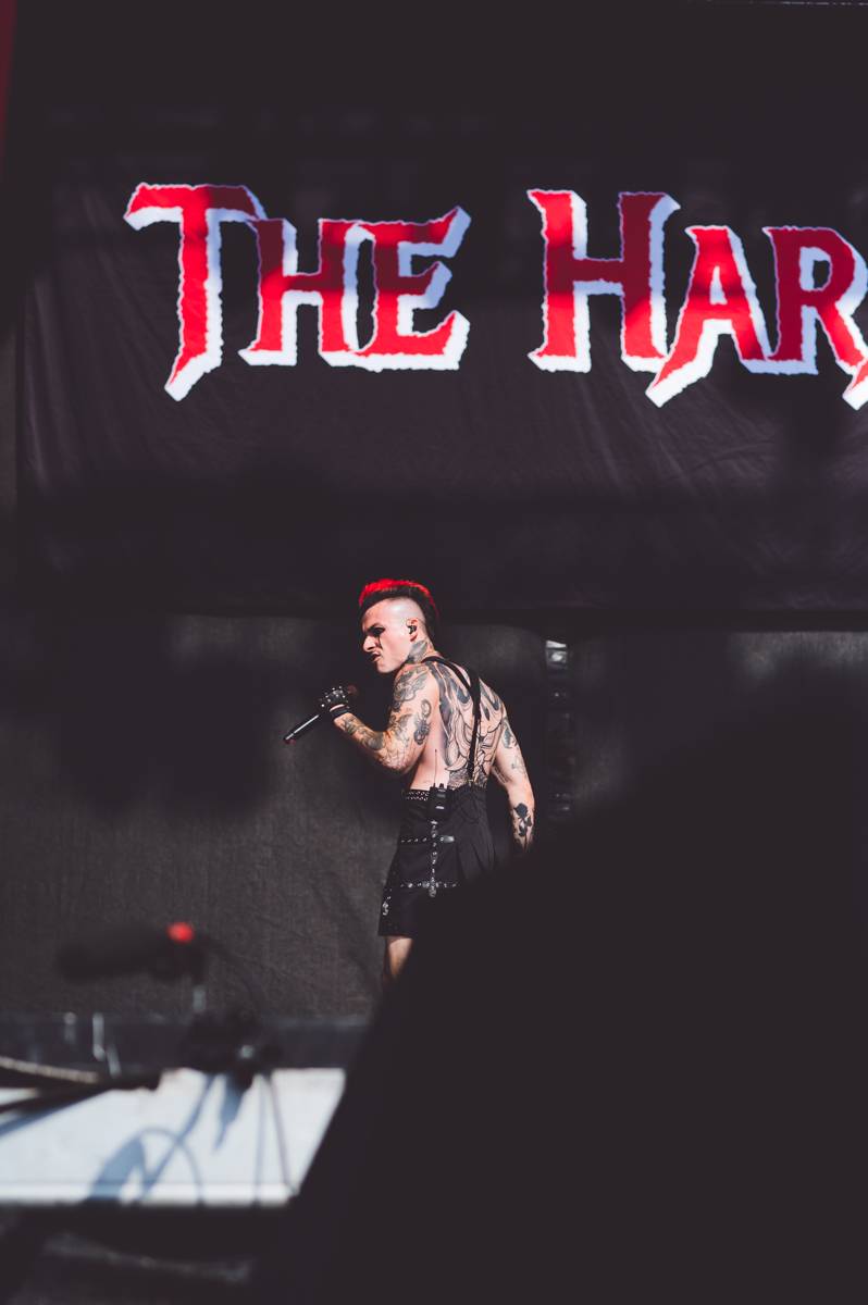 Čtvrtý den na Rock for People vystoupili Ben Cristovao i Tata Bojs