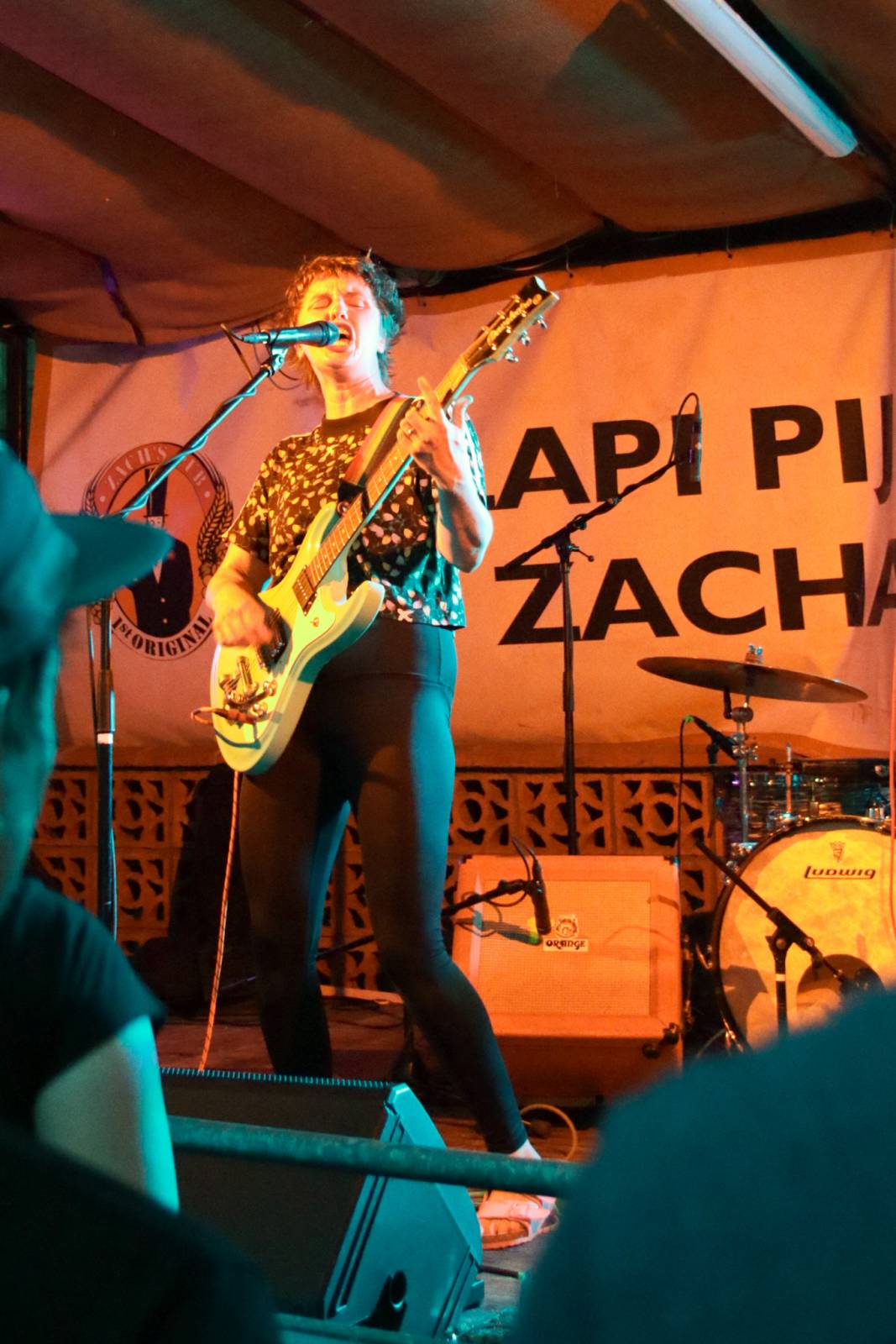 Mucha rozdováděla Plzeň svou drzou, energickou show