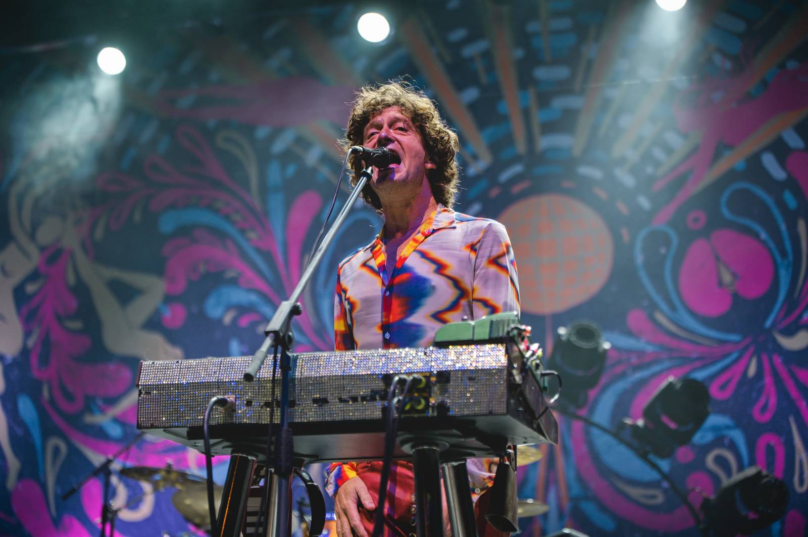 Třetí den Vysočina Fest rozezpívali Jelen, Traktor i Sima