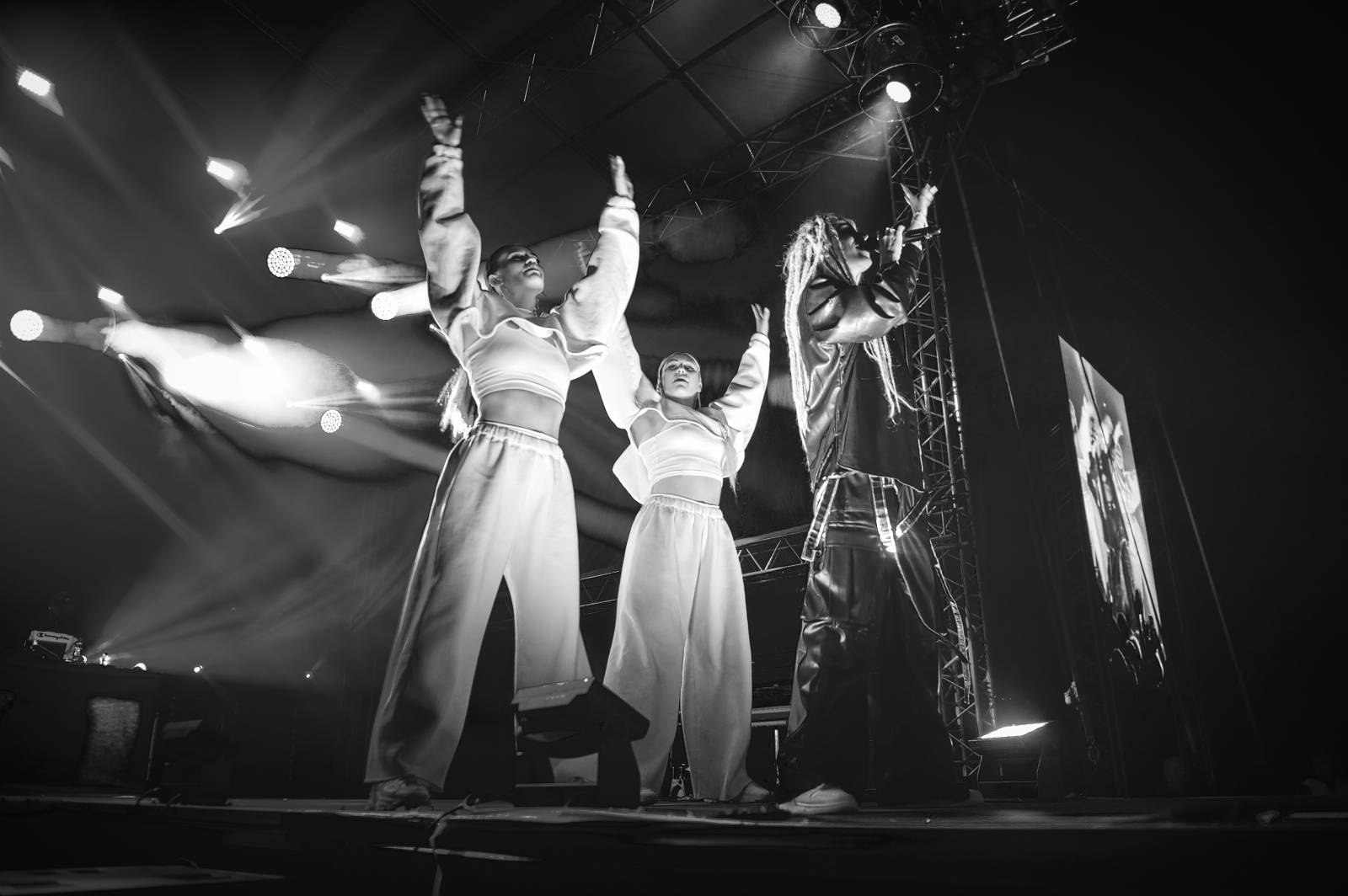 Třetí den Vysočina Fest rozezpívali Jelen, Traktor i Sima