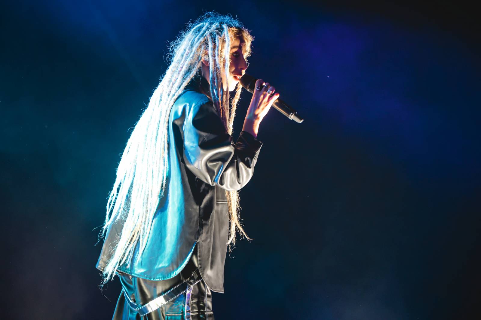 Třetí den Vysočina Fest rozezpívali Jelen, Traktor i Sima