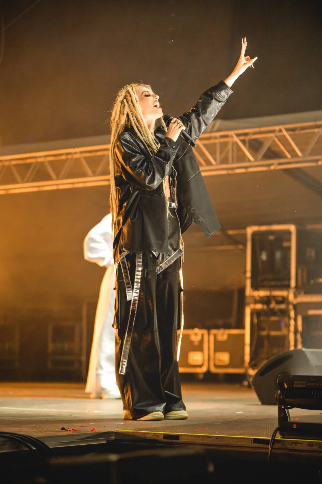 Třetí den Vysočina Fest rozezpívali Jelen, Traktor i Sima