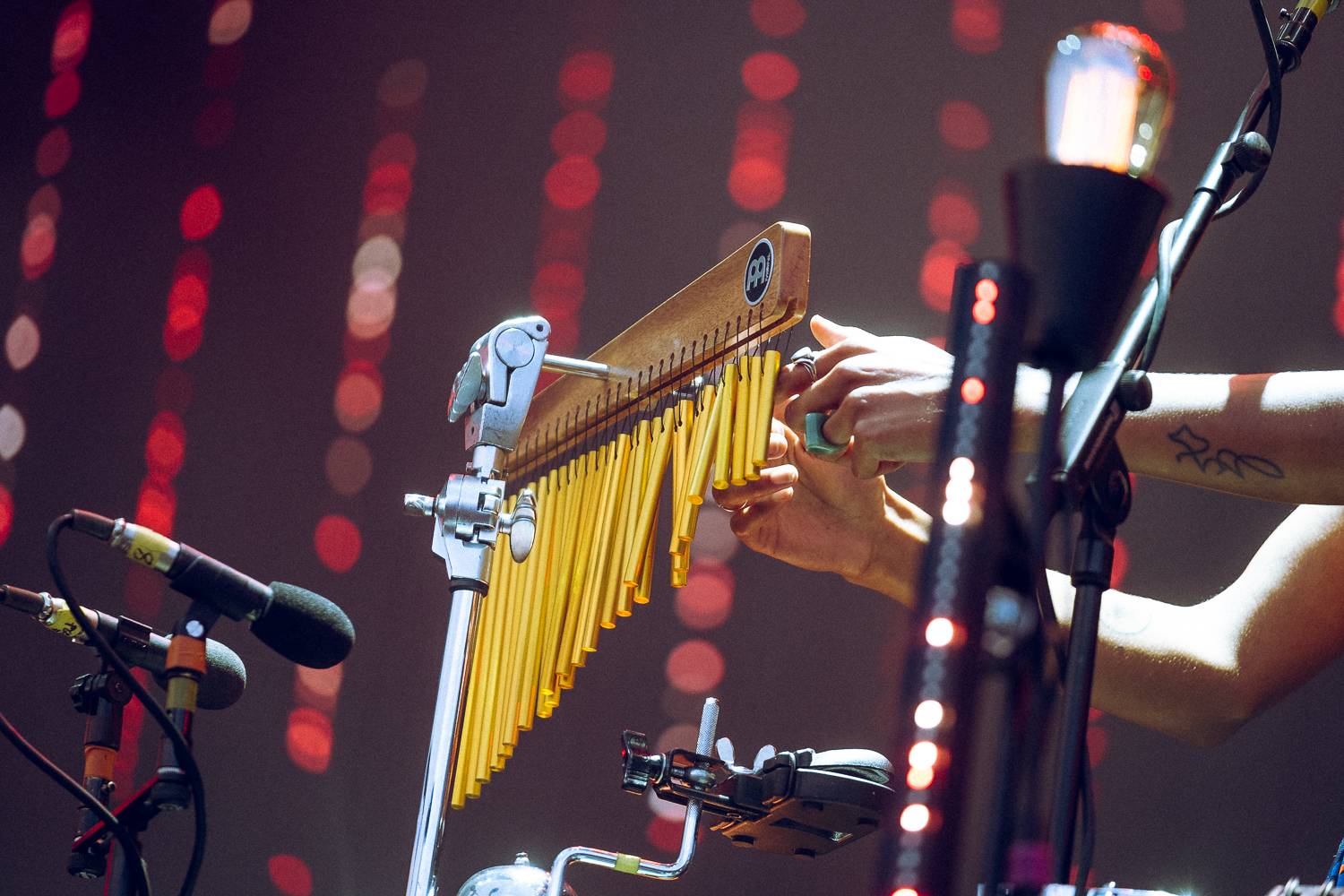 Ewě Farne se na Colours splnil sen, Jacob Collier přivezl svou pestrobarevnou cestu kolem světa