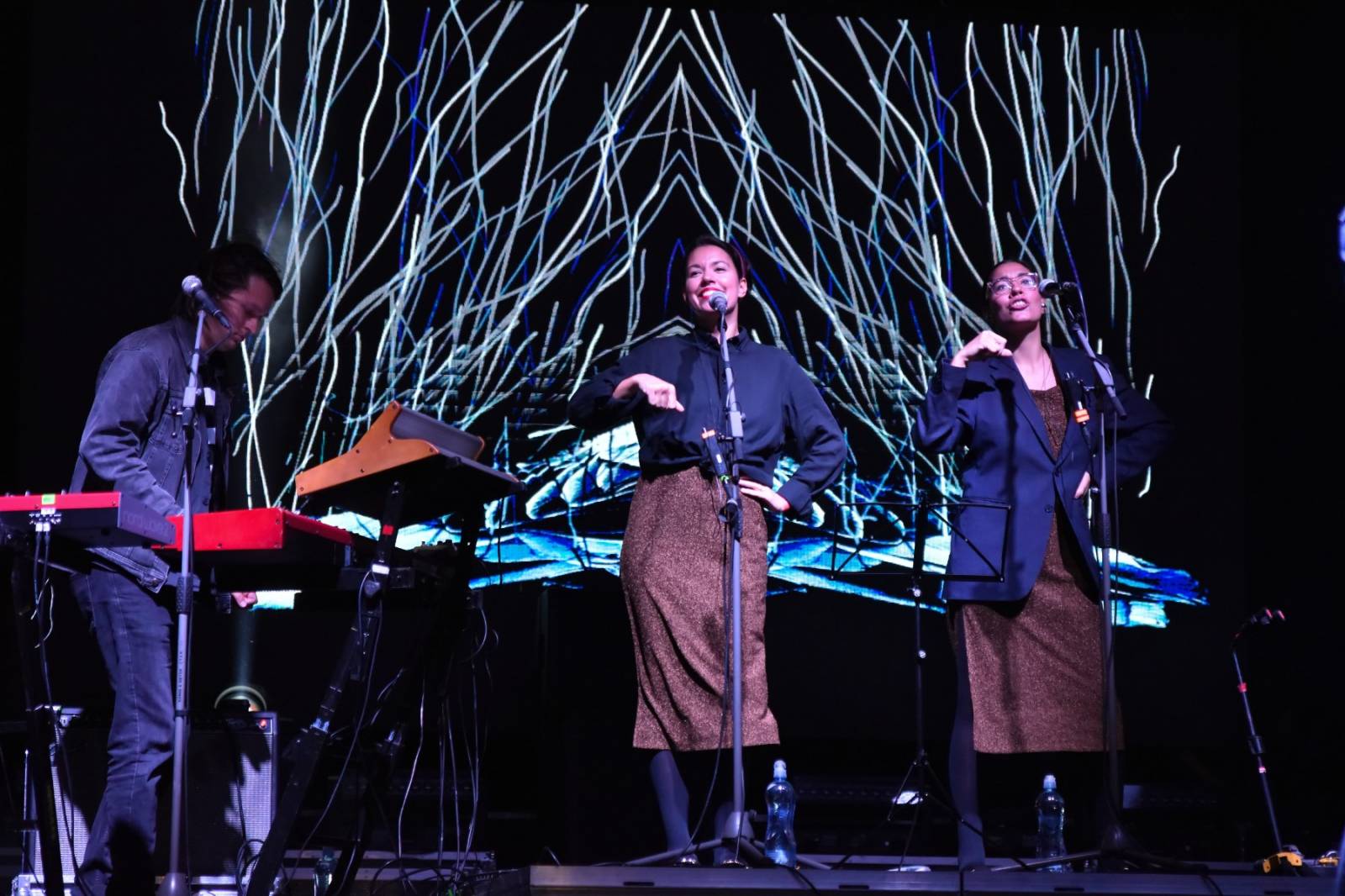 Druhý den Pilsner Festu zahájil Sofian MedjMedj, zahráli i Mig 21, Tata Bojs a J.A.R.