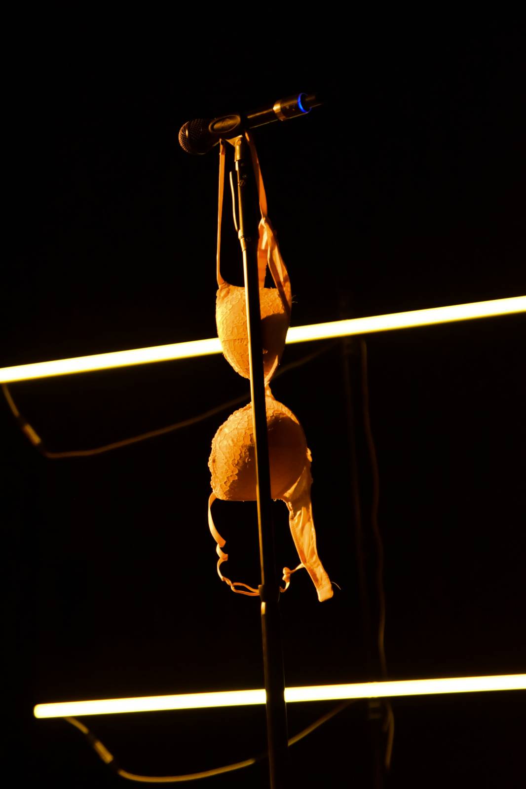 Sofian Medjmedj rozdával v Plzni energii, od fanynky si vysloužil růži