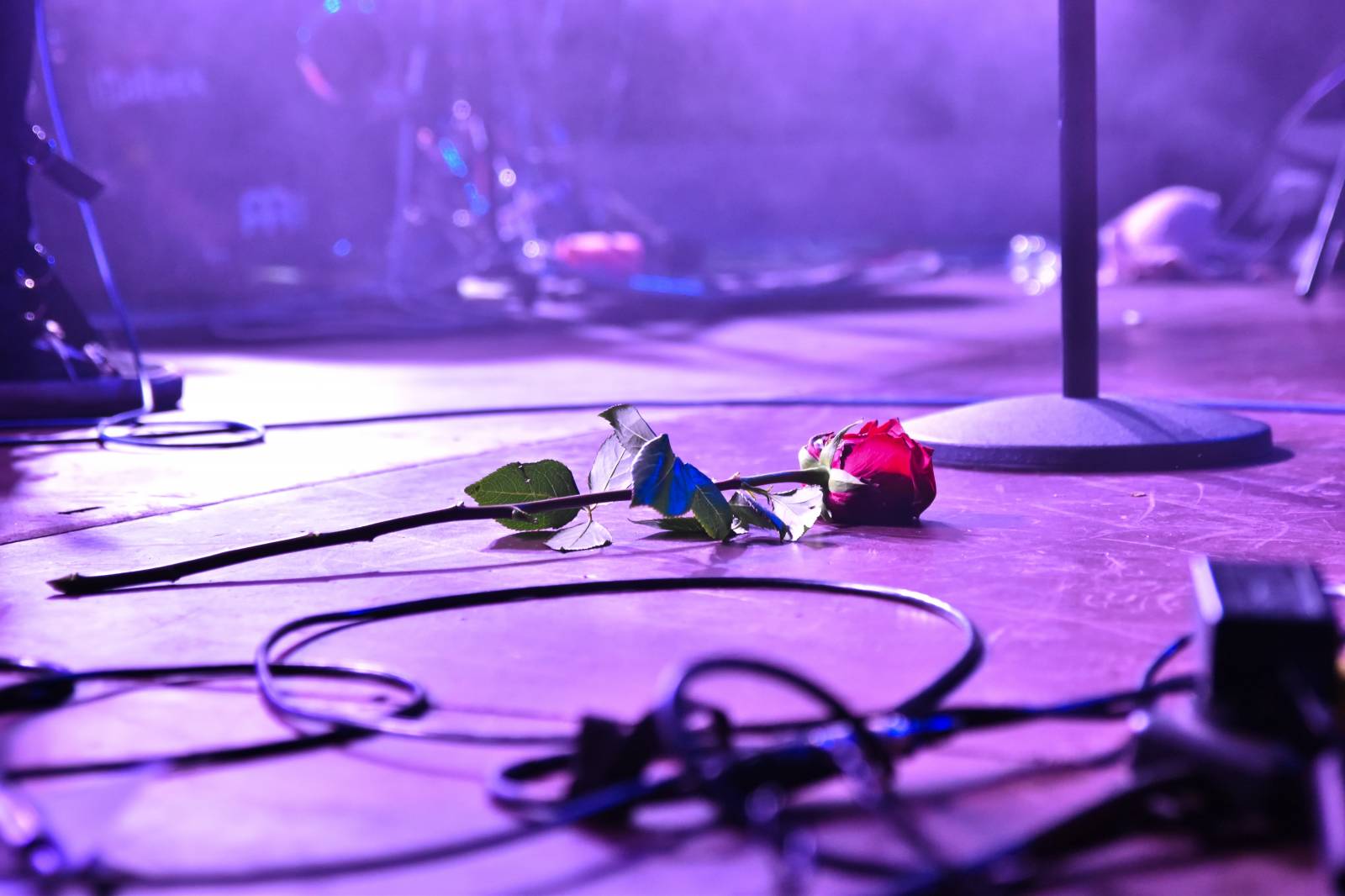 Sofian Medjmedj rozdával v Plzni energii, od fanynky si vysloužil růži