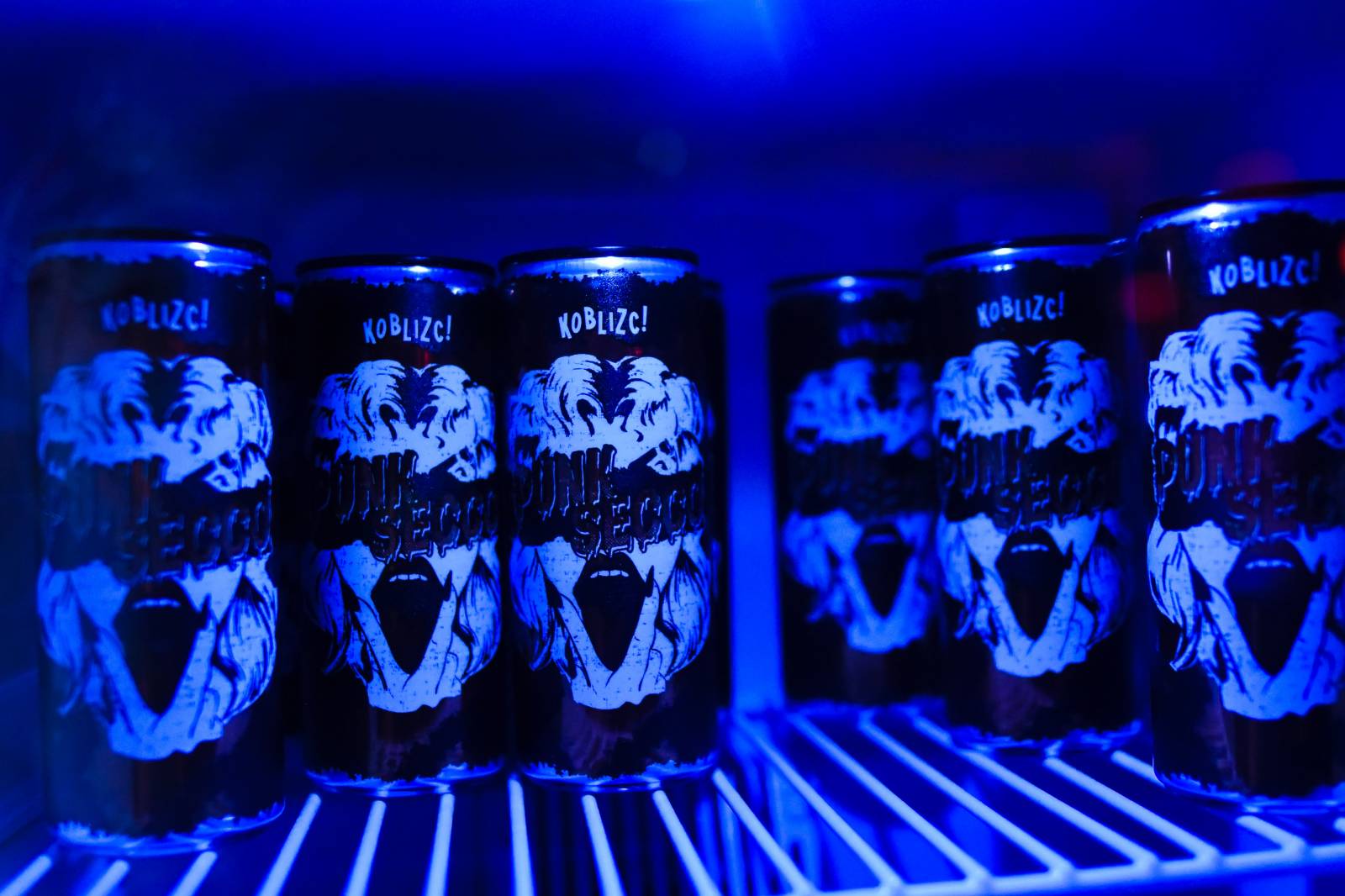 Na Koblížky a zakázanÝovoce čekal v Plzni plný kotel