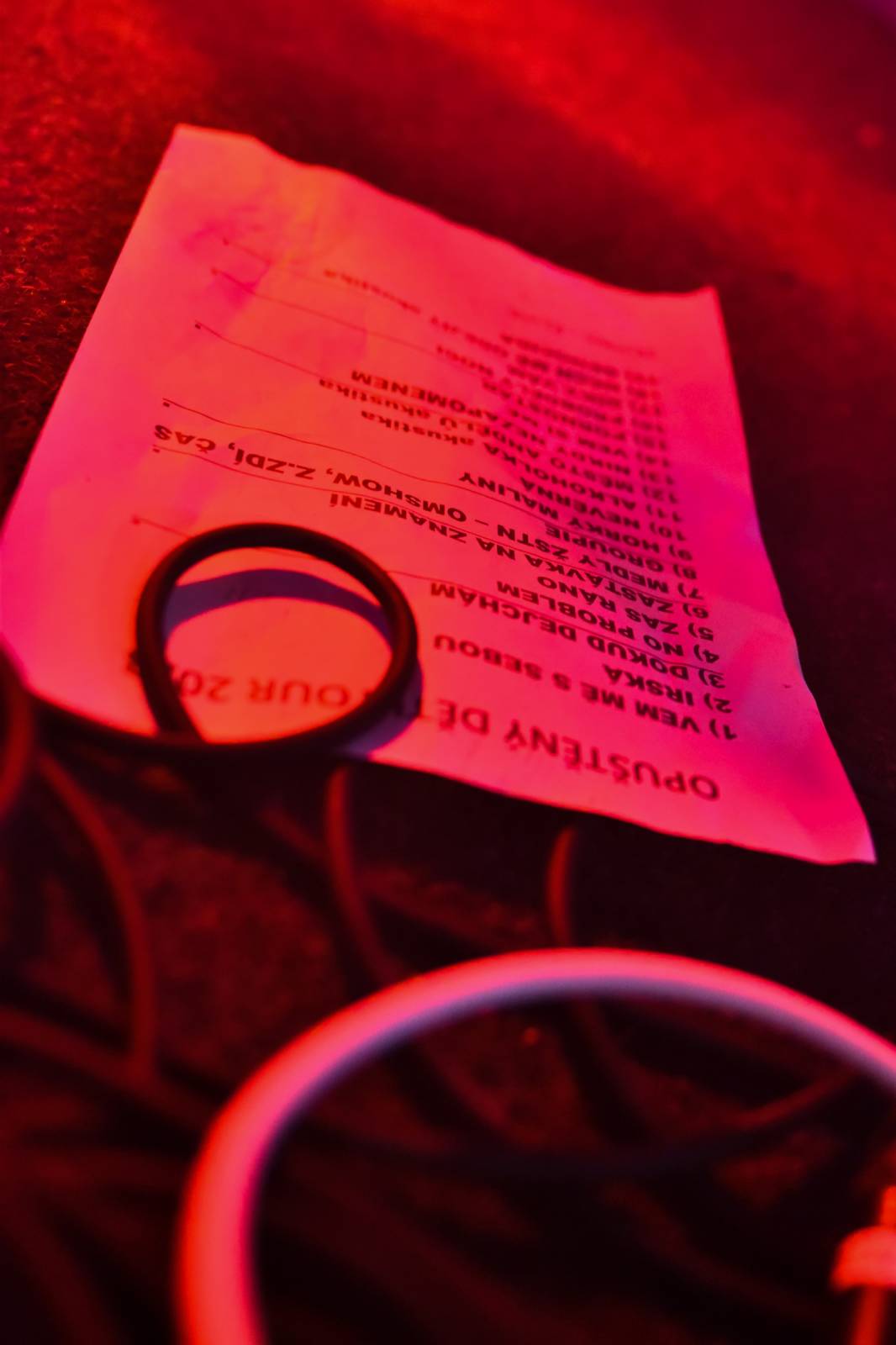 Na Koblížky a zakázanÝovoce čekal v Plzni plný kotel