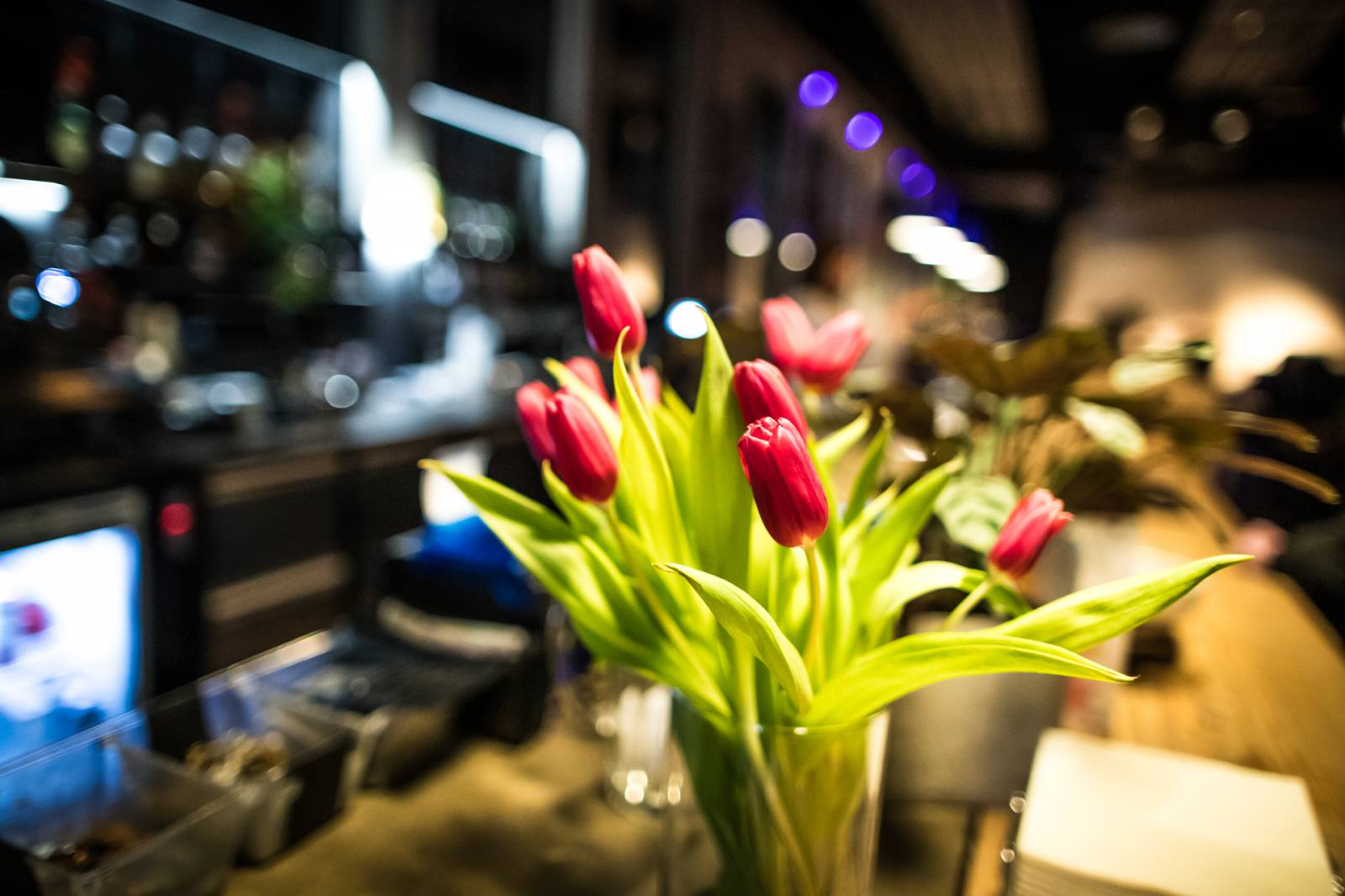 Kato a Blaaball měli v Plzni autorské čtení, fanouškům odkryli tajemství svých tracků