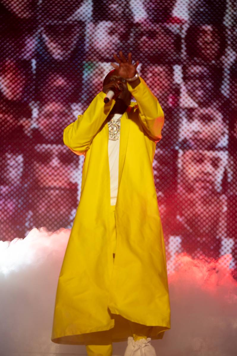 Do Prahy dorazil hvězdný Akon. Fanoušky rozhýbal svými hity