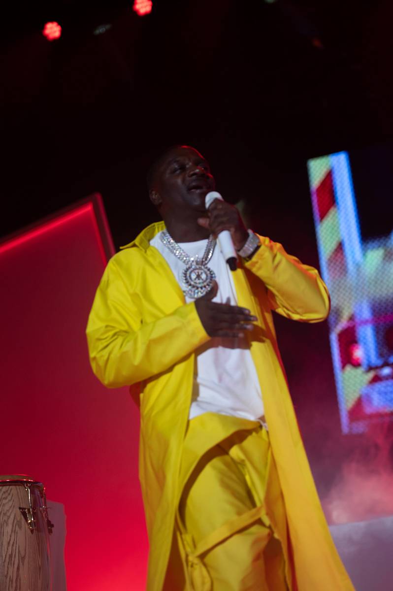 Do Prahy dorazil hvězdný Akon. Fanoušky rozhýbal svými hity