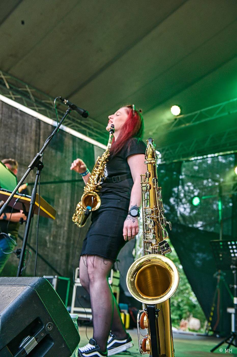 Vypsaná fiXa či Znouzectnost hráli pro dobrou věc. Výtěžek z koncertu u Nepomuku poputuje na opravy zámku Zelená Hora