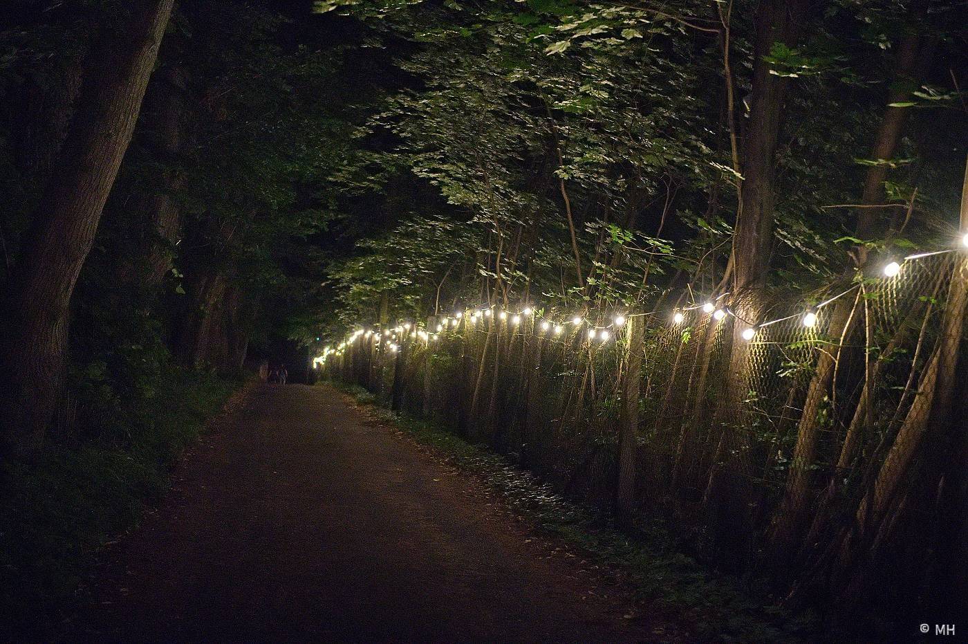 Vypsaná fiXa či Znouzectnost hráli pro dobrou věc. Výtěžek z koncertu u Nepomuku poputuje na opravy zámku Zelená Hora