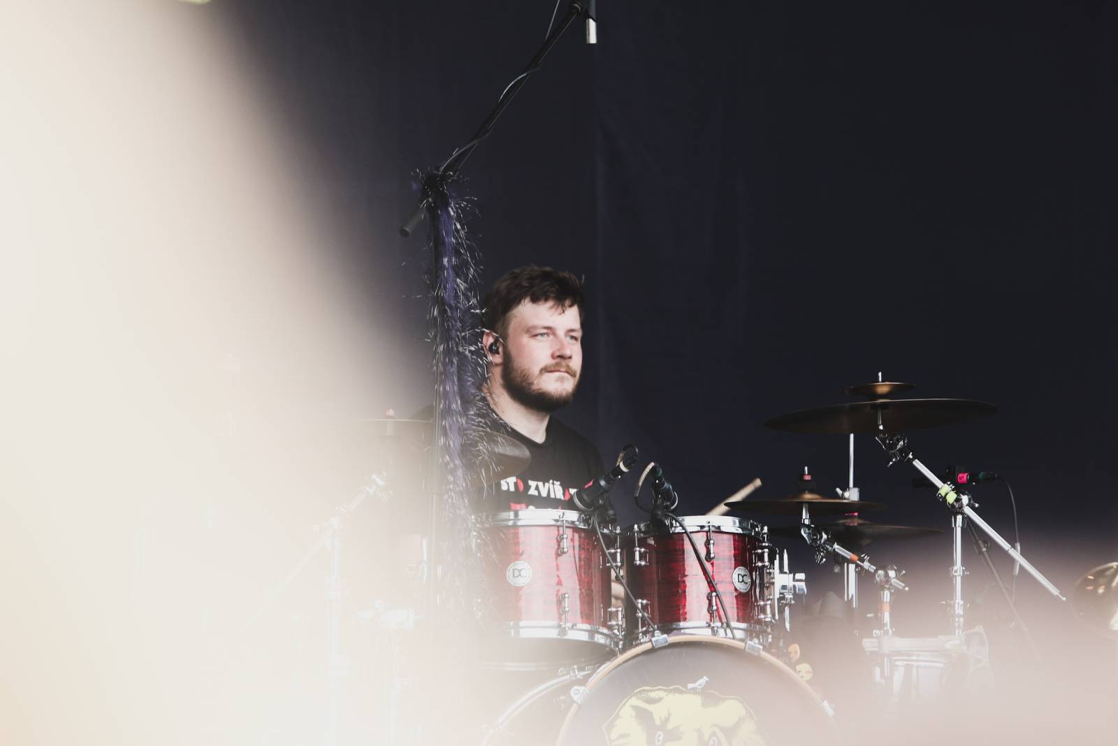 Mighty Sounds, den první: Legendární Cock Sparrer, srdíčkoví Polar a australské krysičky Dune Rats