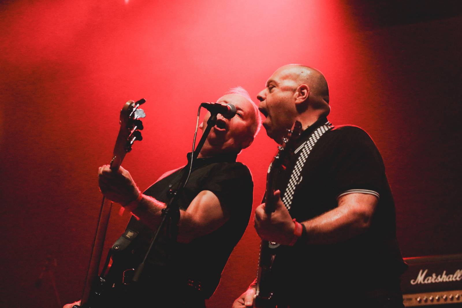 Mighty Sounds, den první: Legendární Cock Sparrer, srdíčkoví Polar a australské krysičky Dune Rats