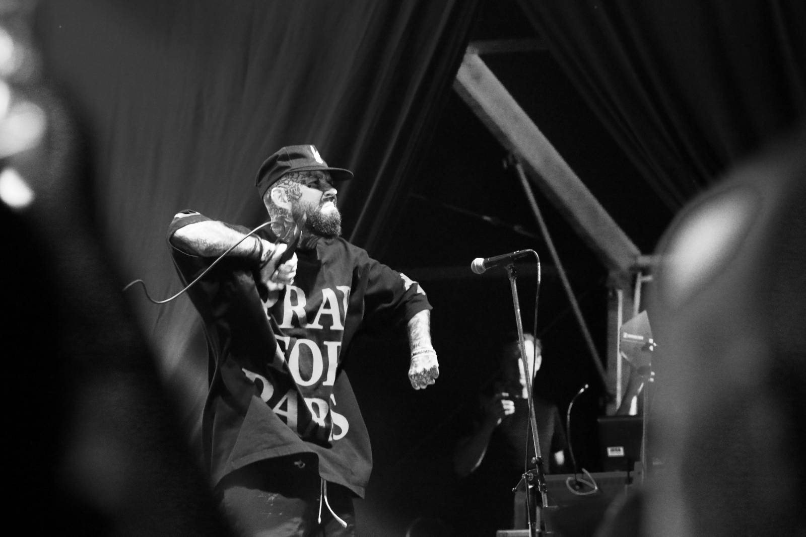 Mighty Sounds, den první: Legendární Cock Sparrer, srdíčkoví Polar a australské krysičky Dune Rats