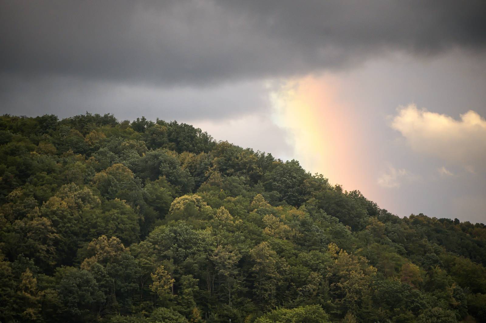 Přehrady Fest přivezl do Vranova Jelena, Pokáče, Sofiana Medjmedj i Street69