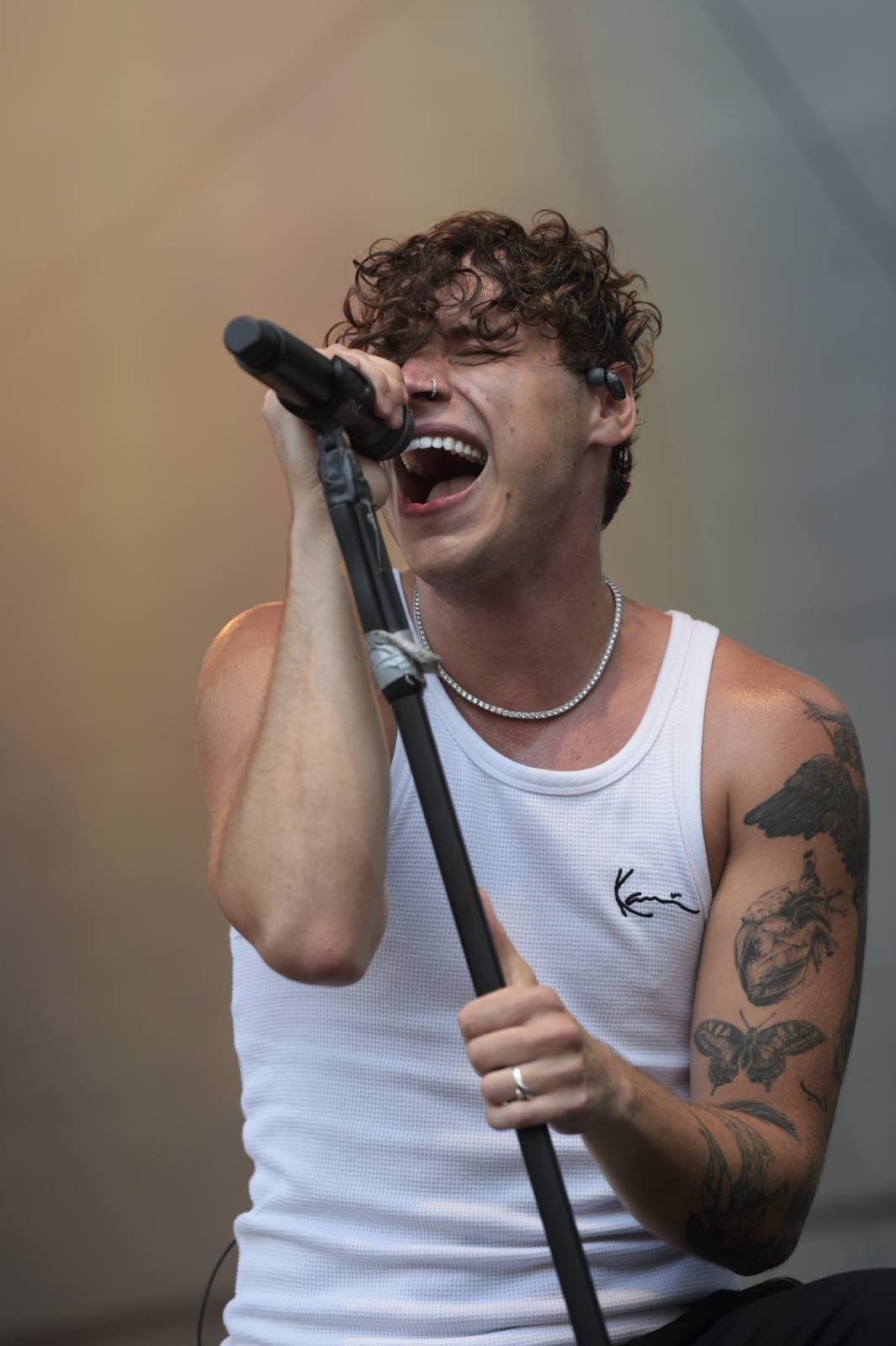 Jelen si podmanil Příbram, publikum bavili také Sofian Medjmedj a Poetika