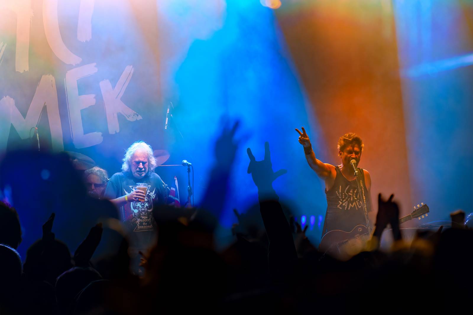 Punk není mrtev. Visací zámek zaplnil Ledárny Braník