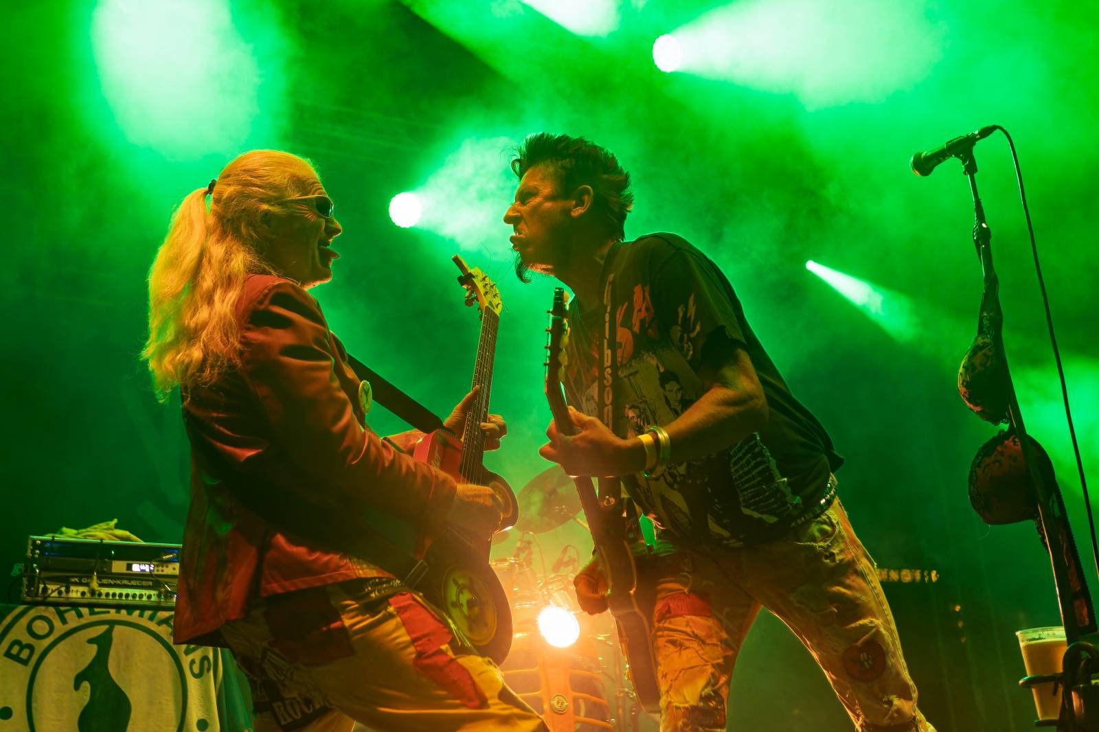 Punk není mrtev. Visací zámek zaplnil Ledárny Braník