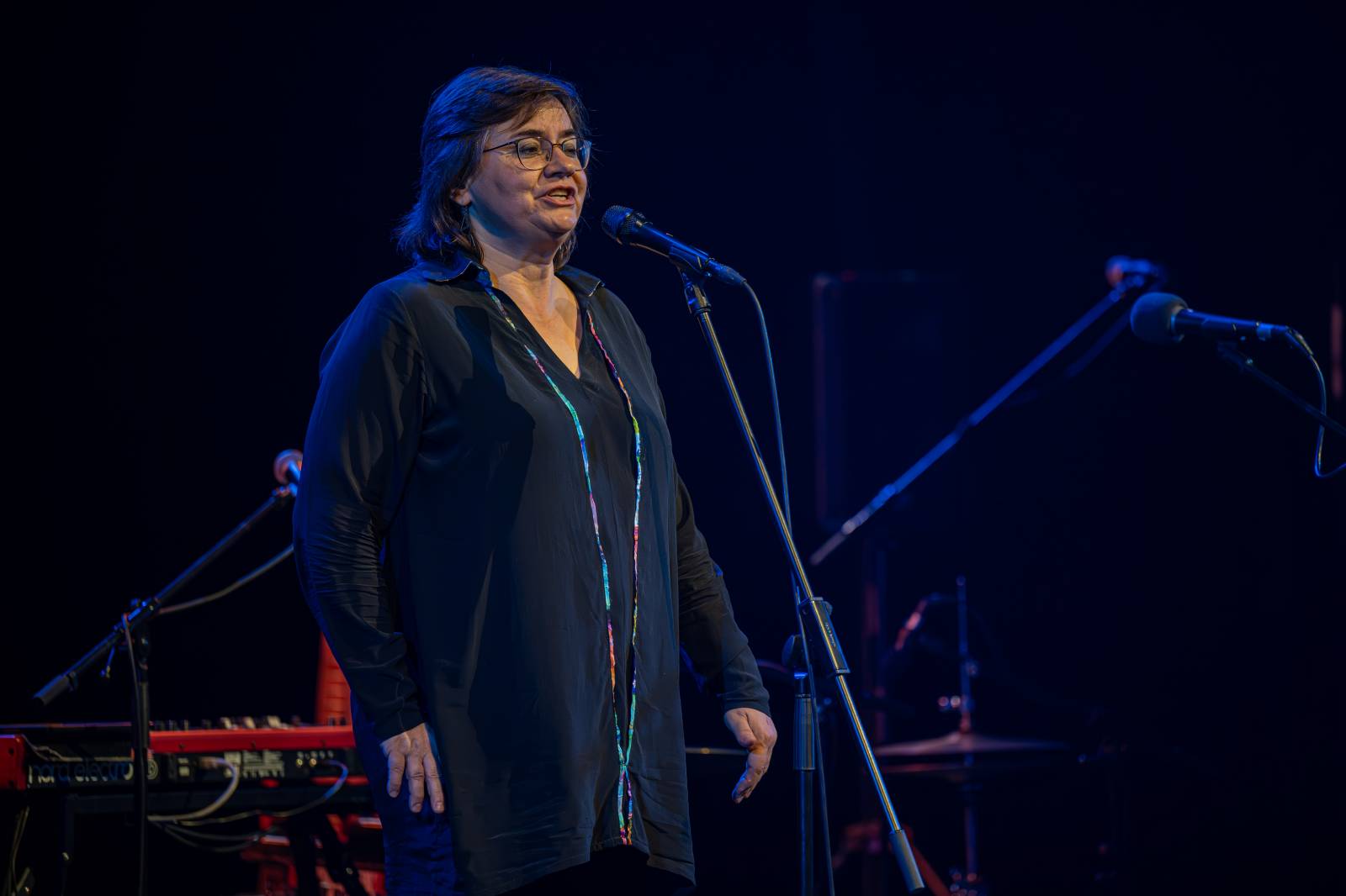 Jiří Pavlica s Hradišťanem a Javory se v Divadle Hybernia dočkali standing ovation 